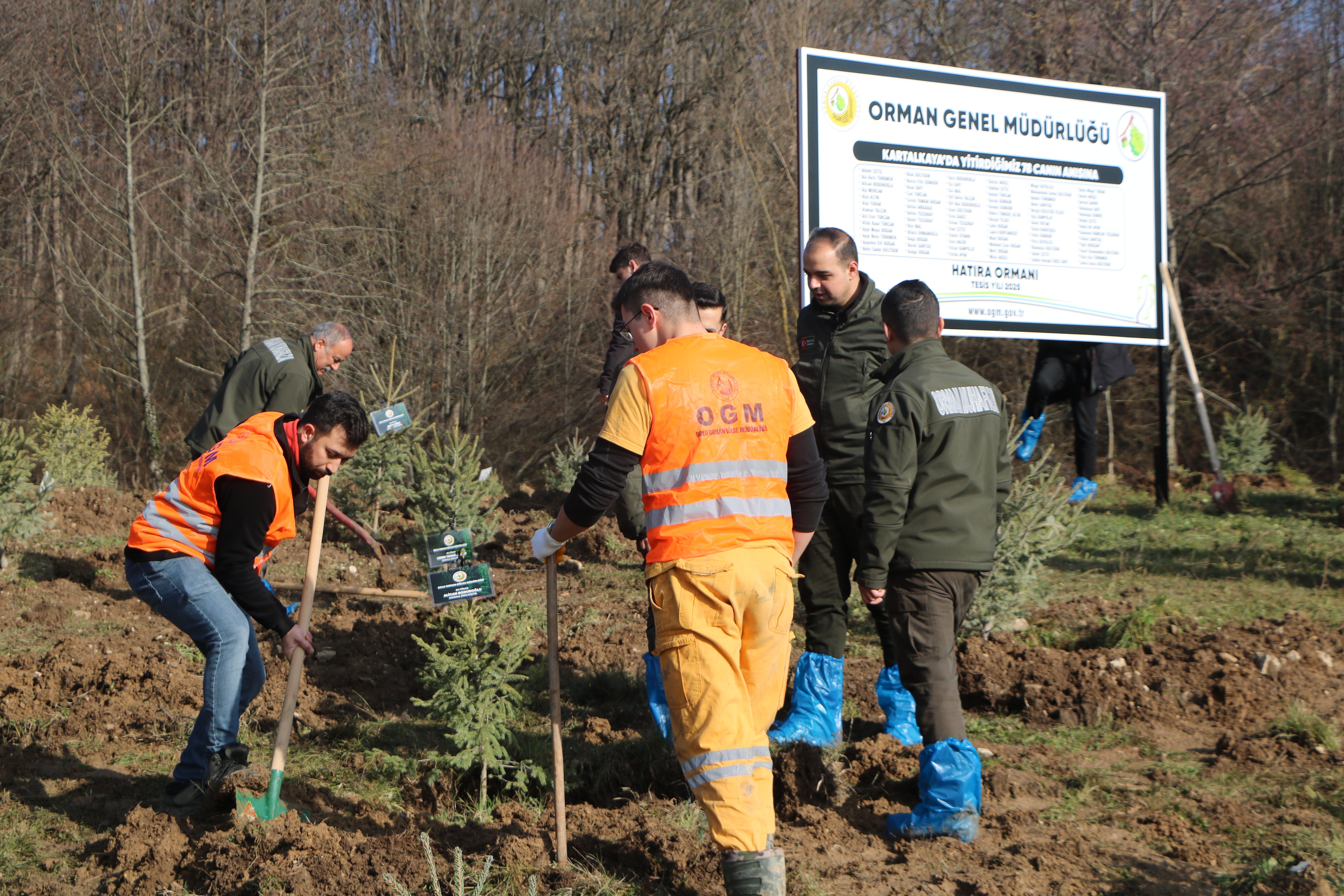 Bolu hatıra ormanı fidan dikim töreni