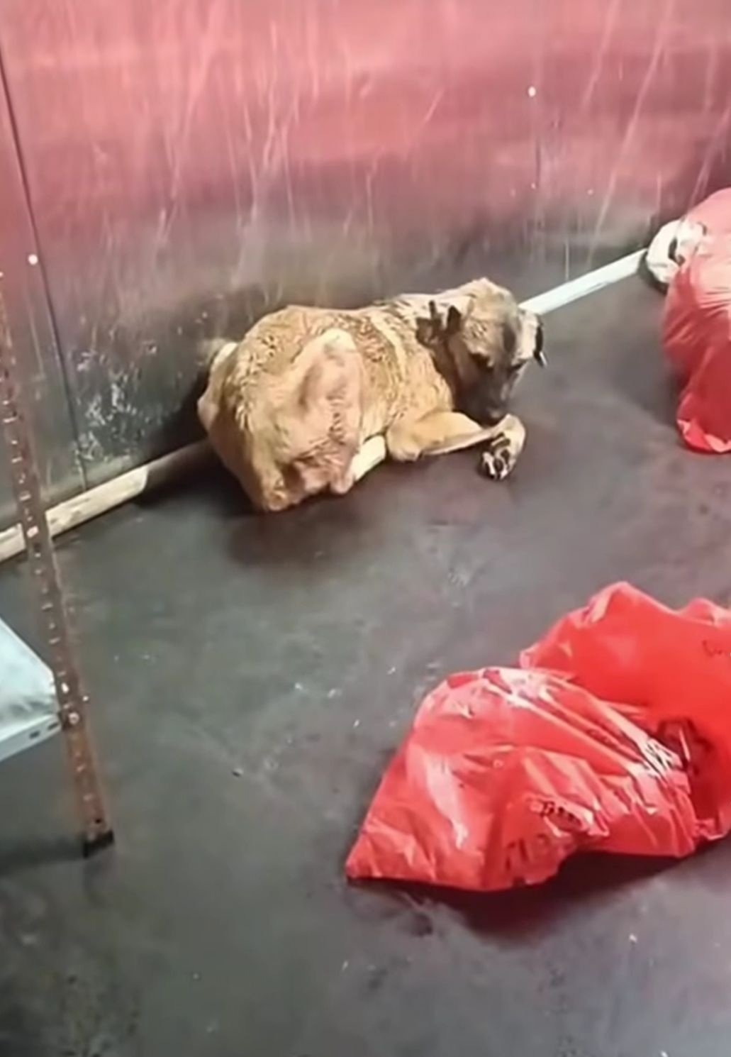 Mansur Yavaş Ankara Büyükşehir Belediyesi