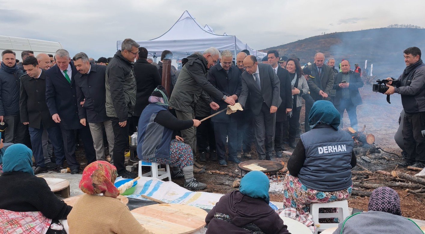 Yanan alanlarda yapılan ağaçlandırma çalışmaları