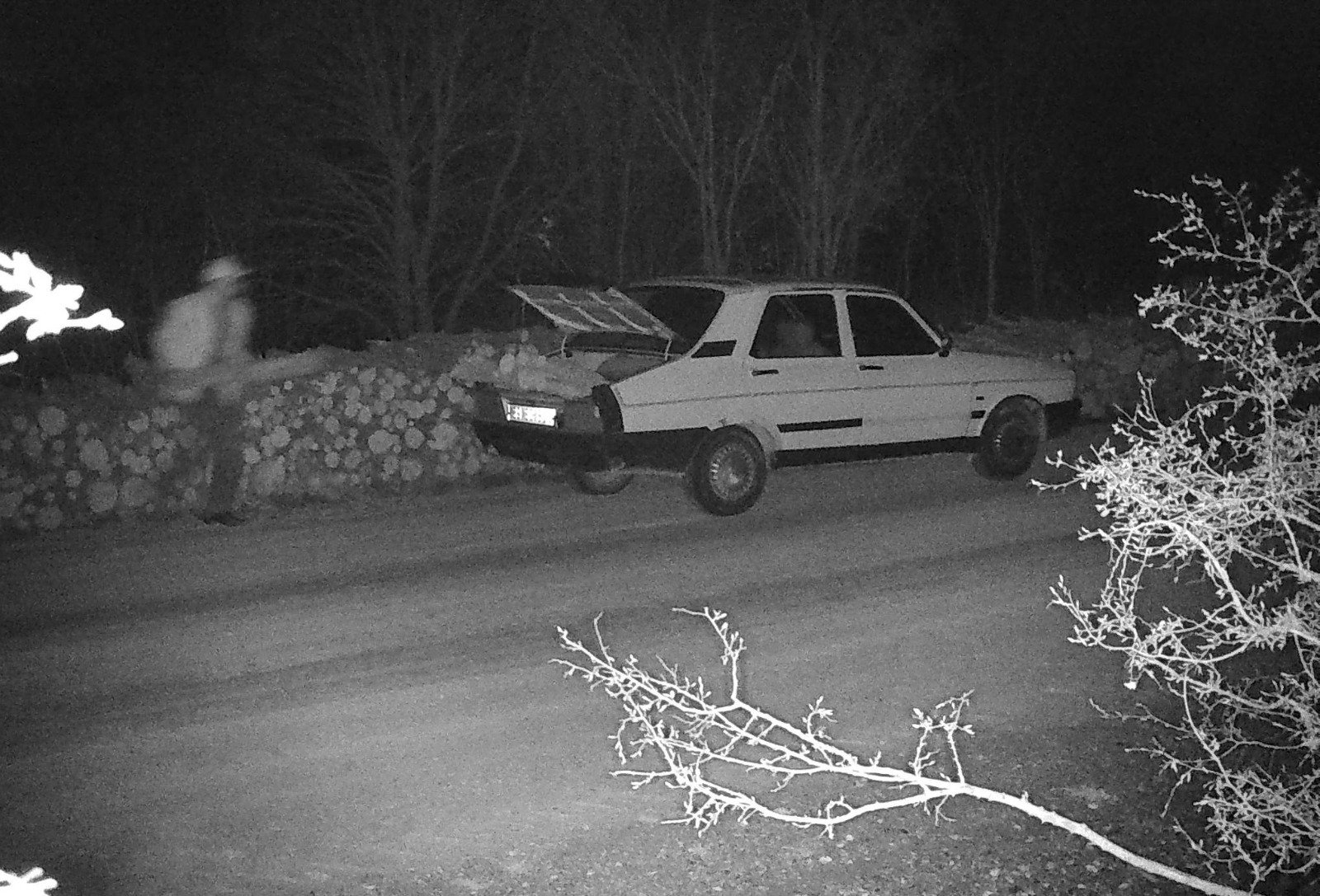 OGM Orman Muhafaza Memuru denetim