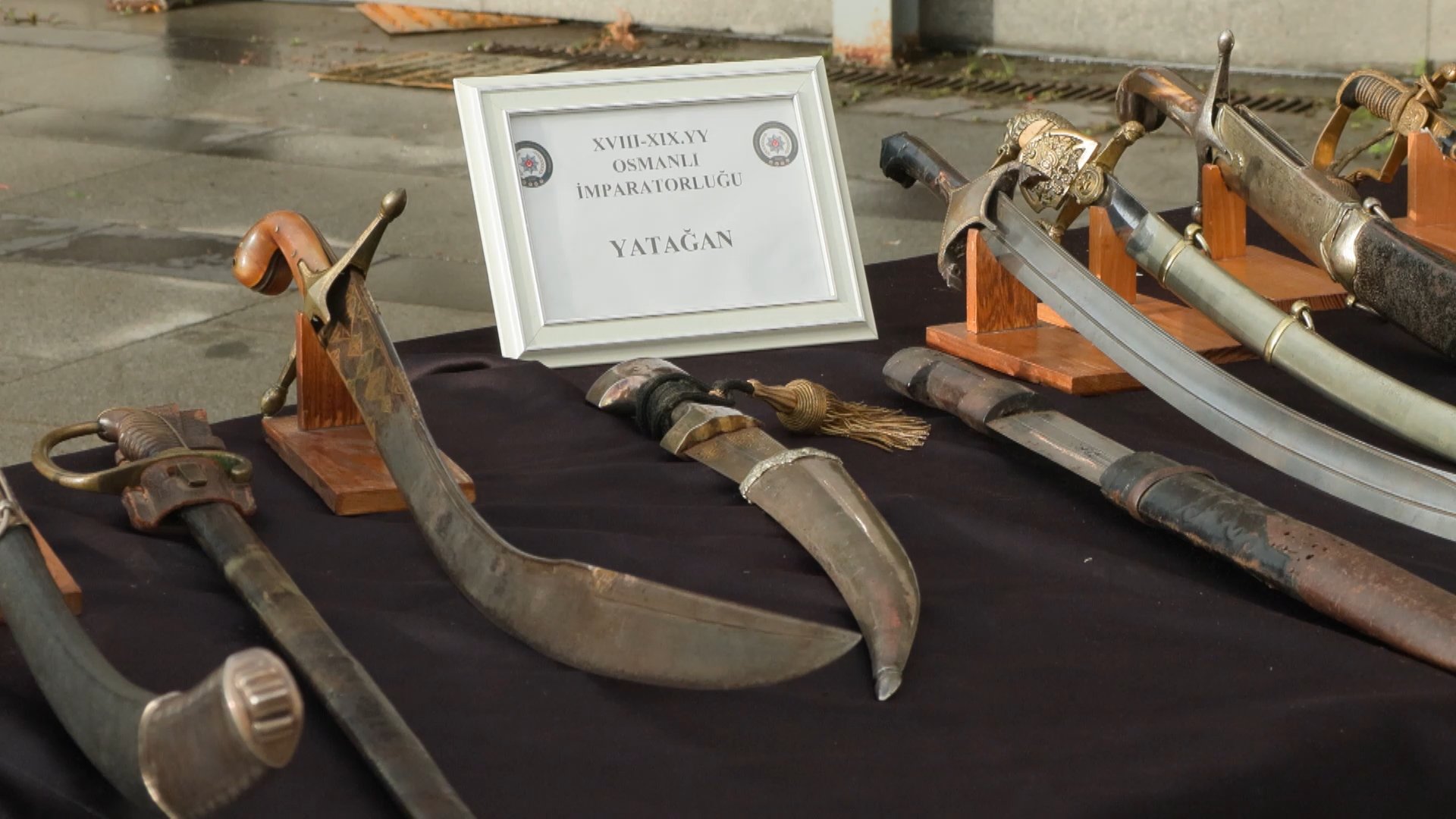 Koruma altındaki türlere ait ele geçirilen materyaller