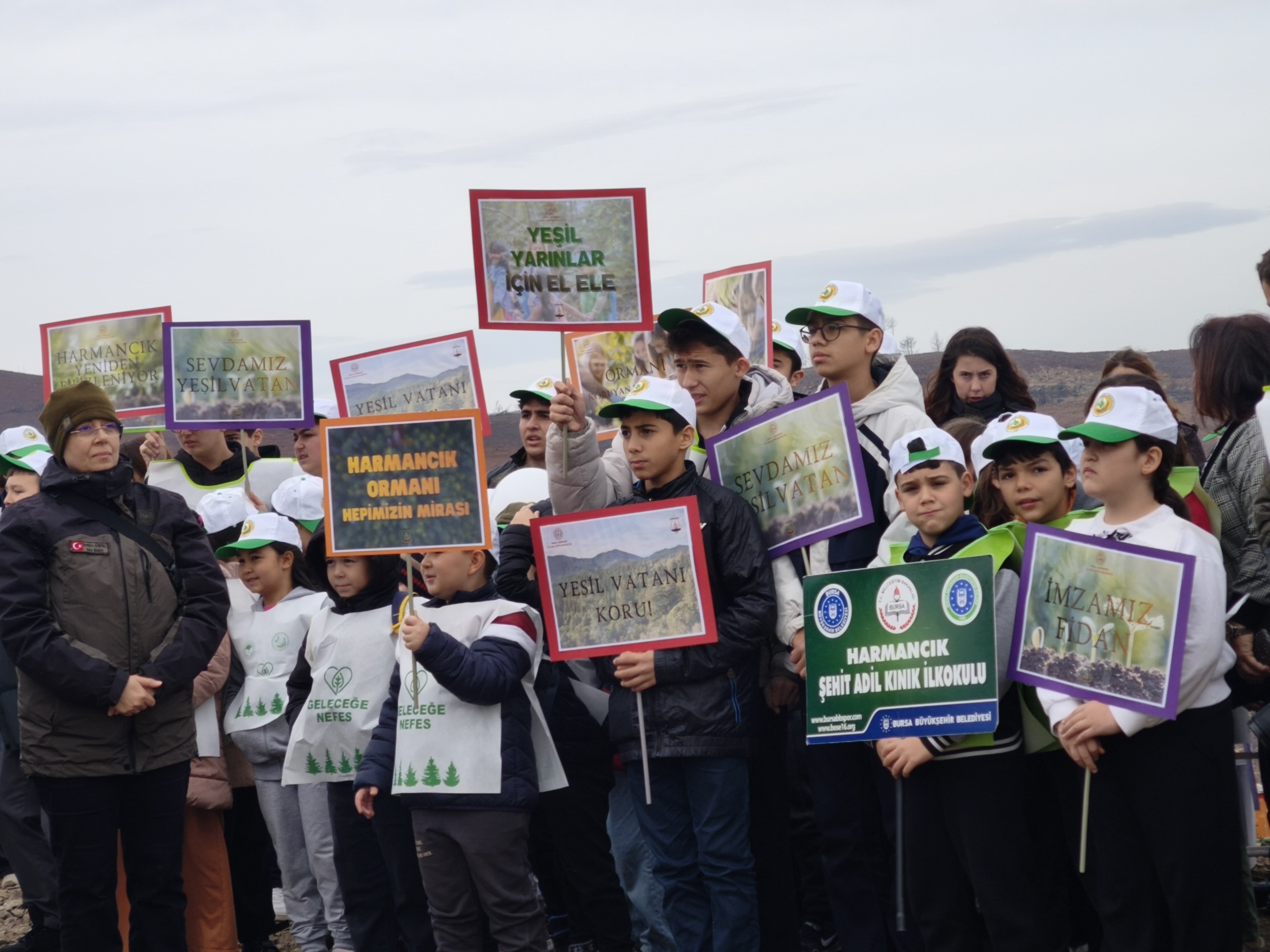 Orman rehabilitasyon çalışmaları