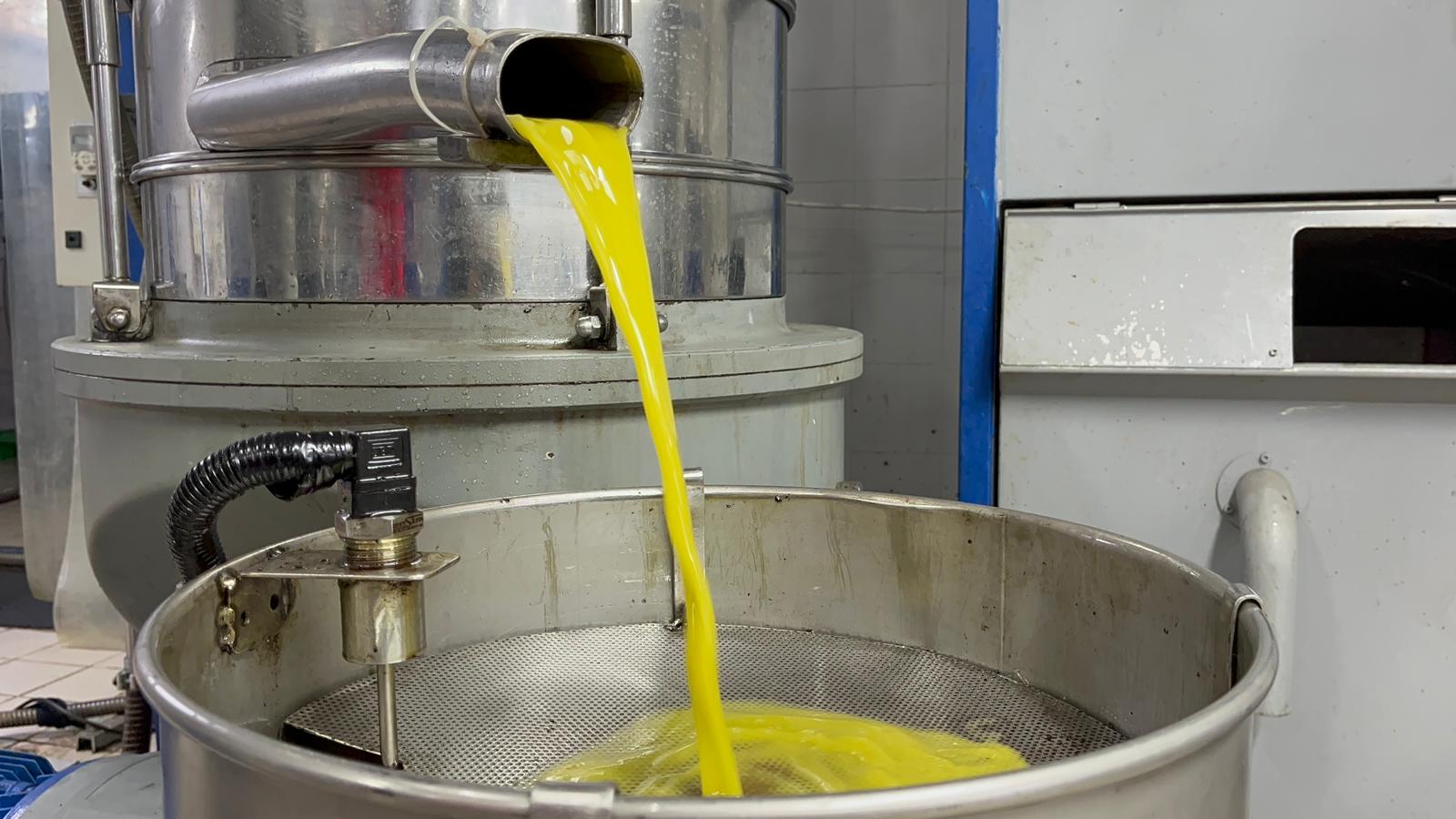 Kumanya Ürünleri Kalite Kontrolü