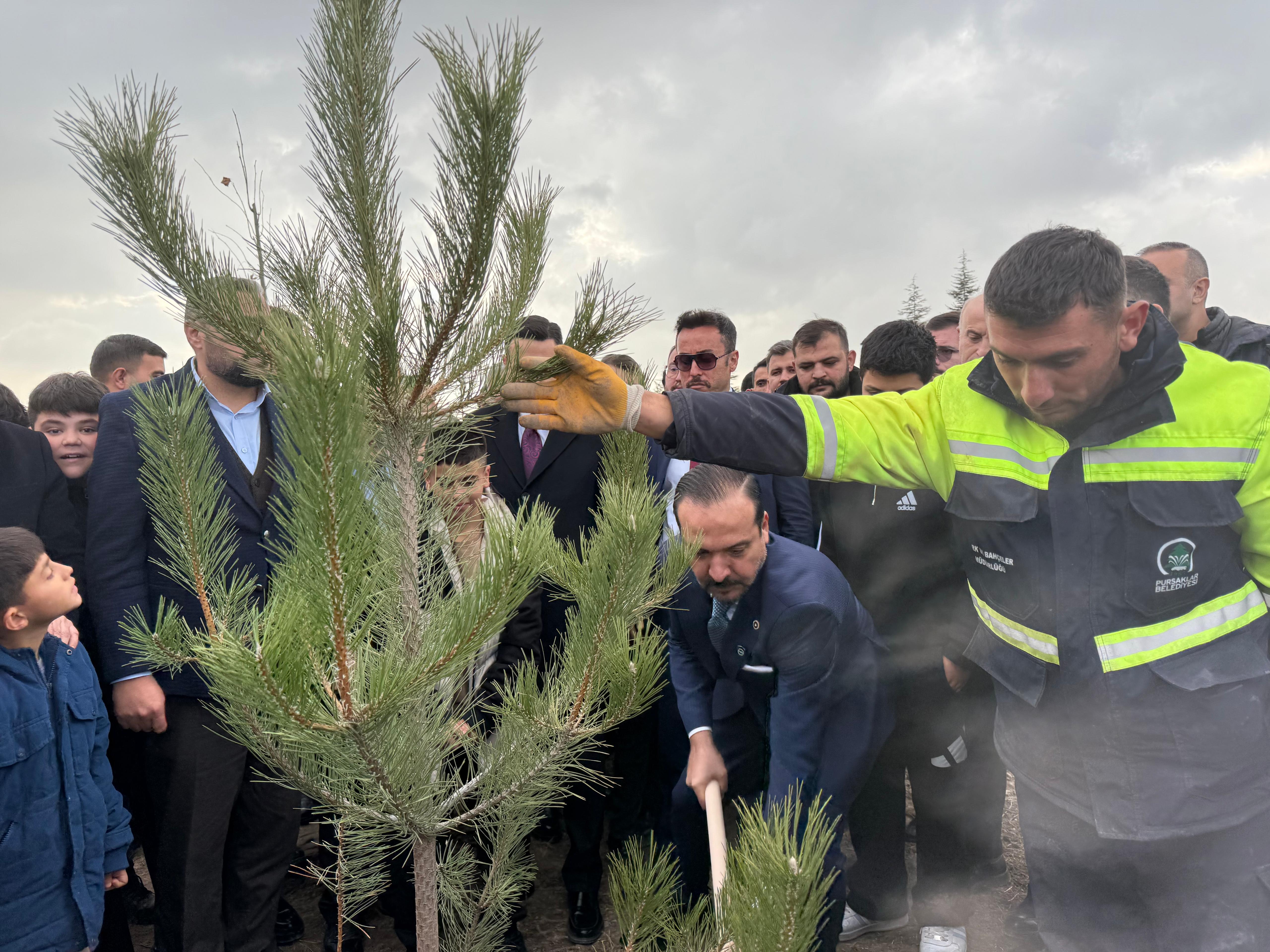 AK Parti Türk Dünyası Hatıra Ormanı etkinliği