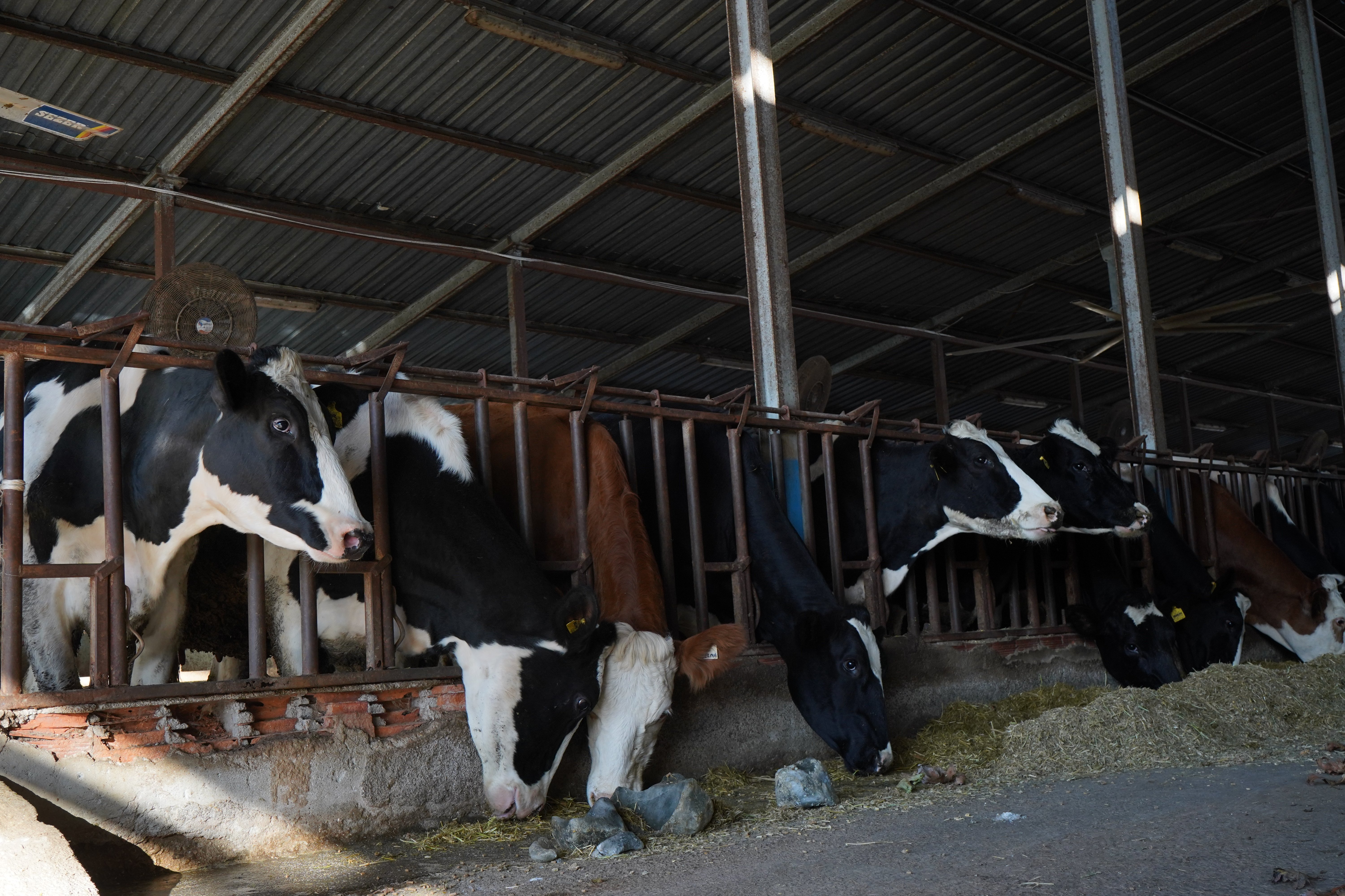 Ziraat Fakültesi Üretim Tesisi