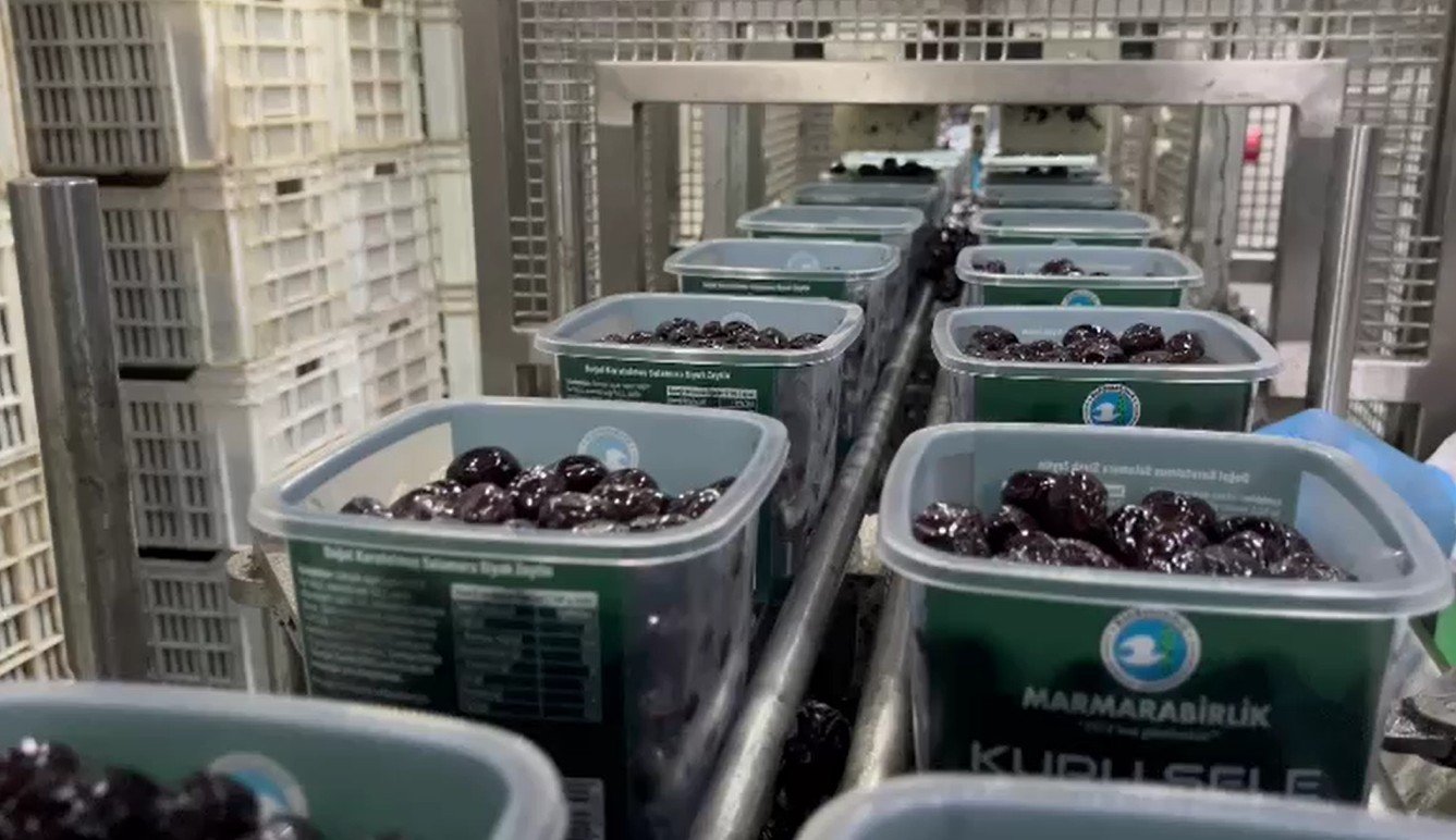 TSK için hazırlanan zeytin sevkiyatı