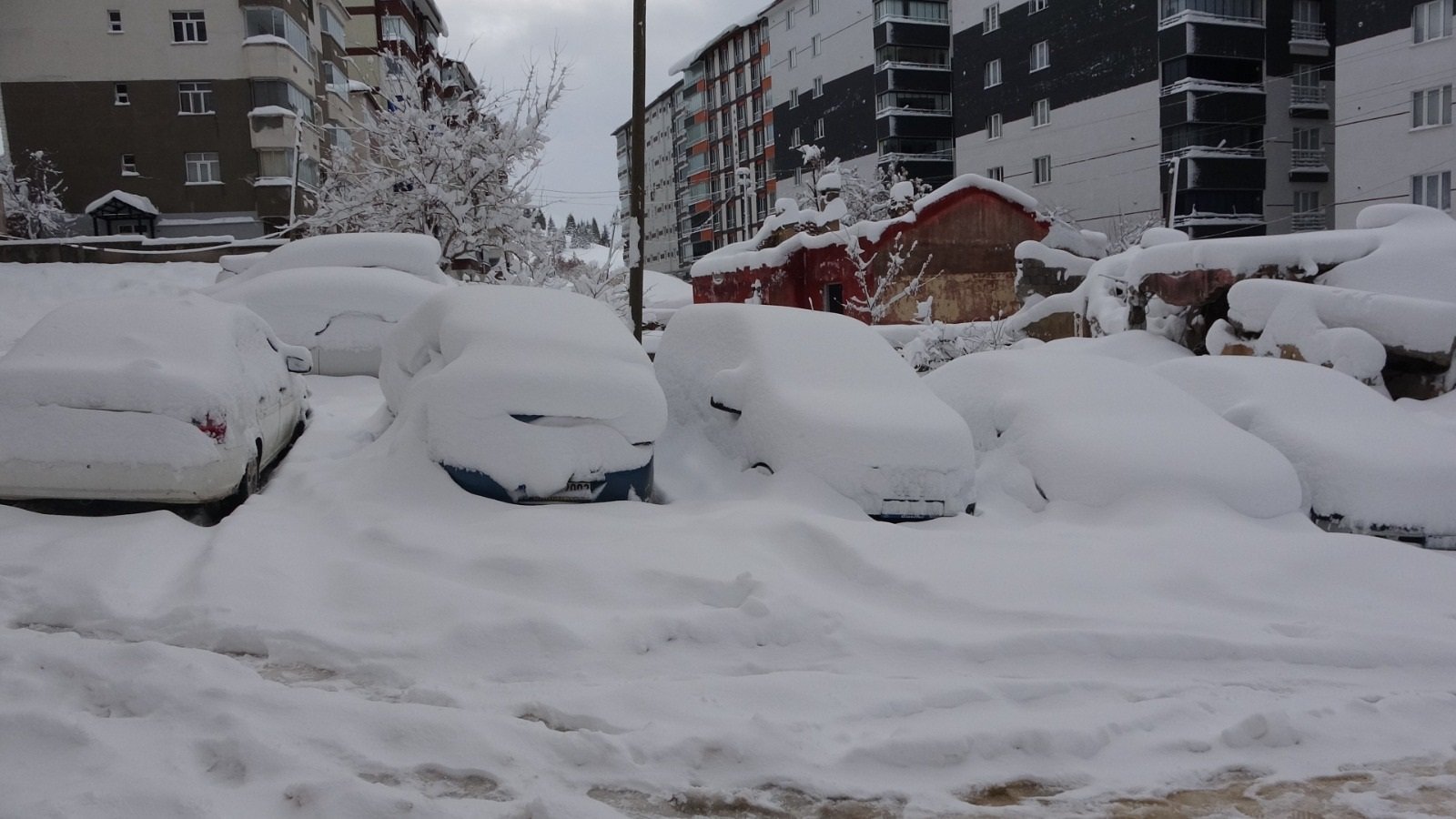 Bitlis kar temizleme ekipleri