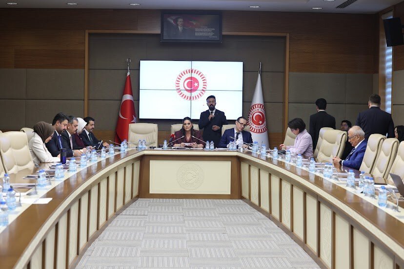TBMM Engelli Komisyonu Toplantısı Jülide Sarıeroğlu