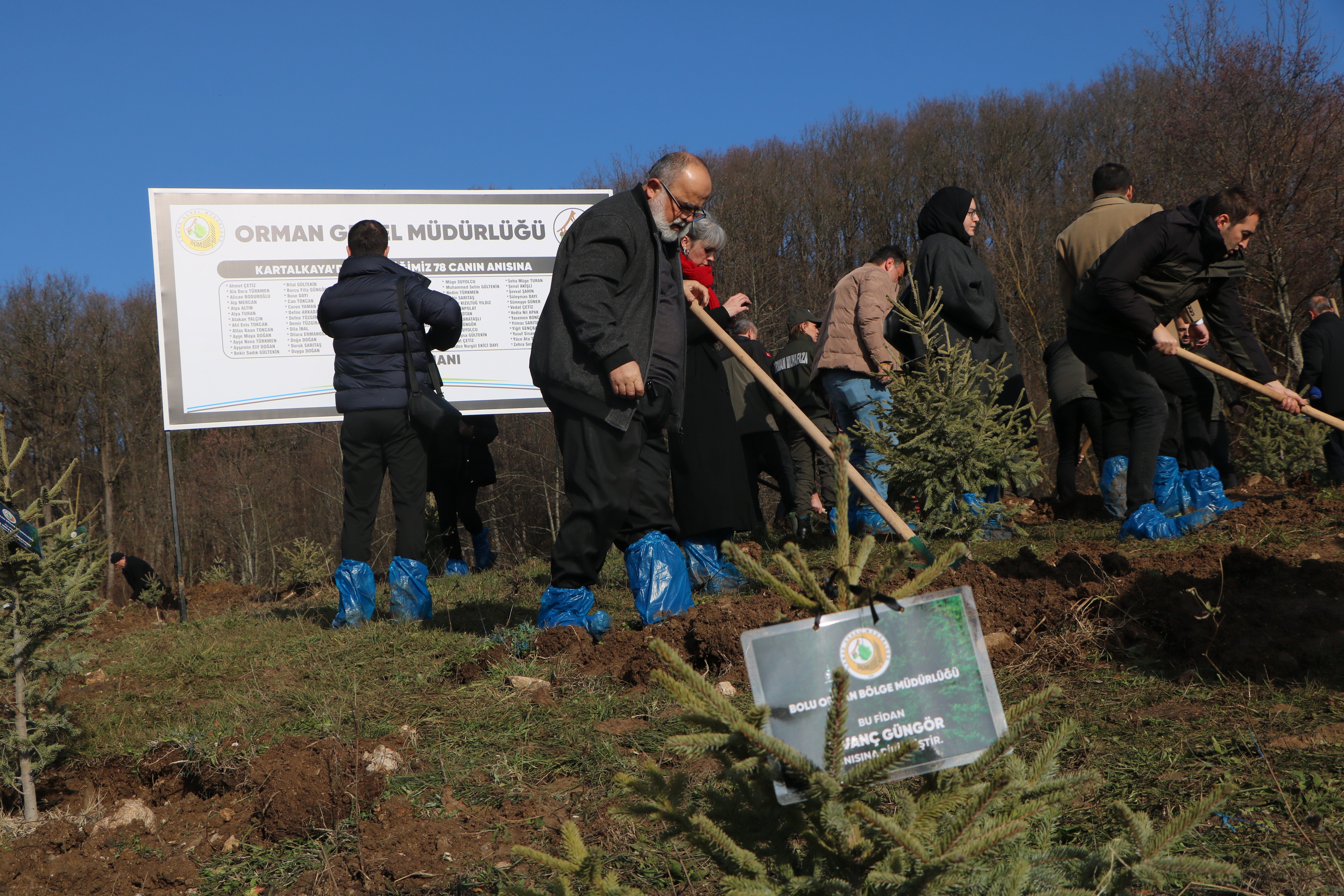 Hatıra ormanına dikilen fidanlar