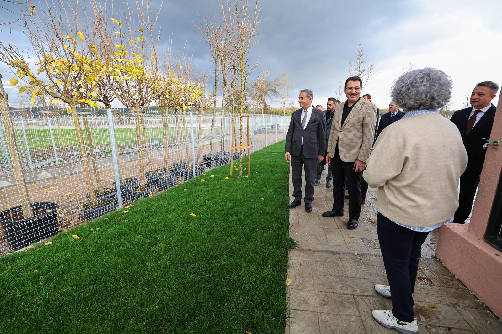 Kampüsteki hayvanlar