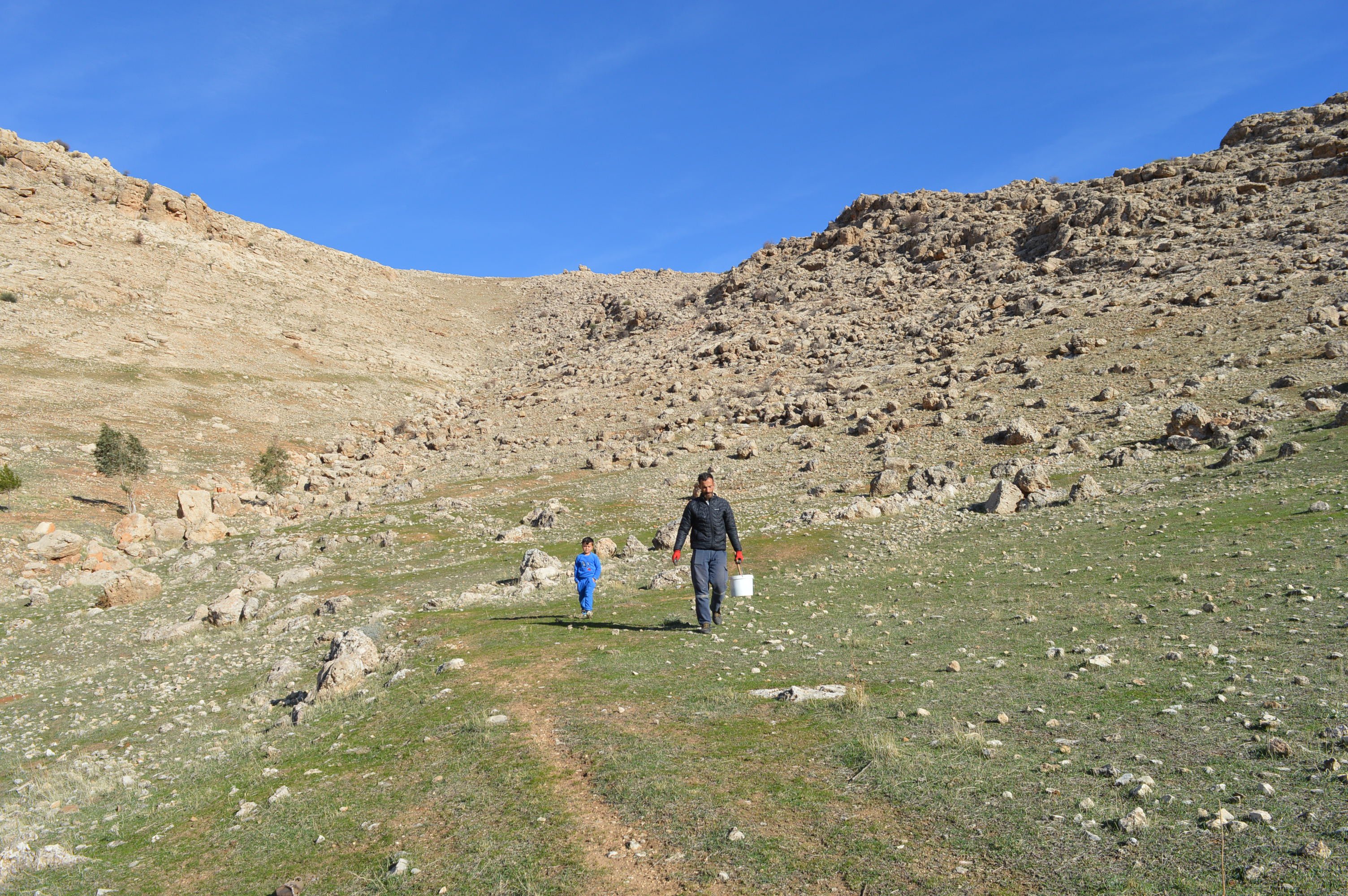 çevre bakanlığı ağaçlandırma