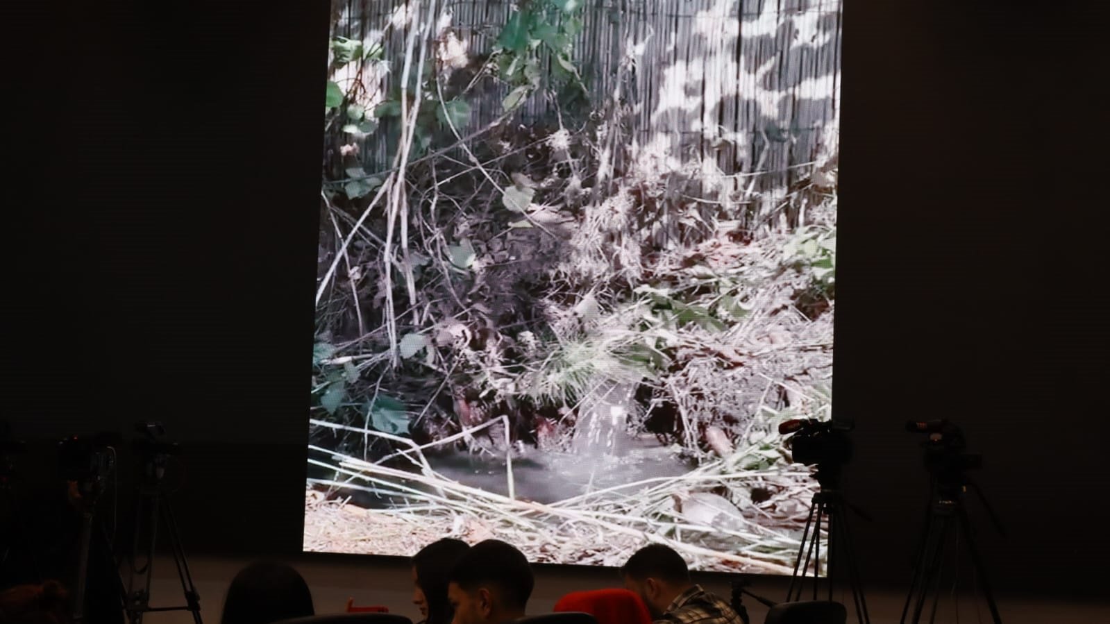 Sakarya Büyükşehir Belediyesi Sapanca Gölü operasyonu