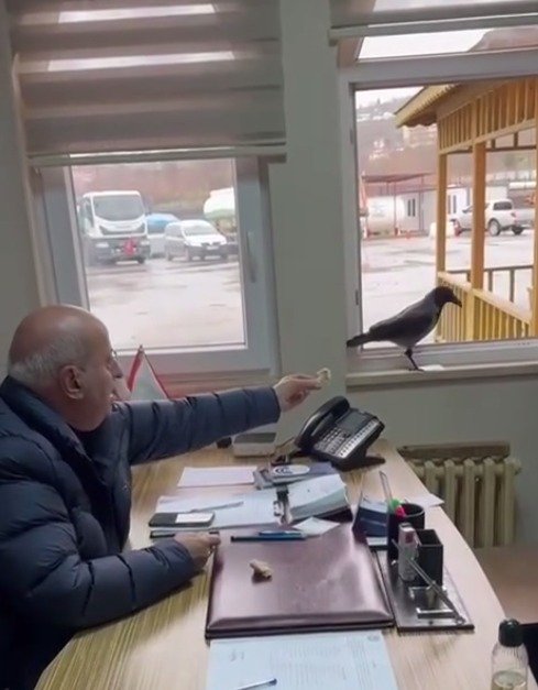 Beşikdüzü Belediyesi şantiye odasında karga