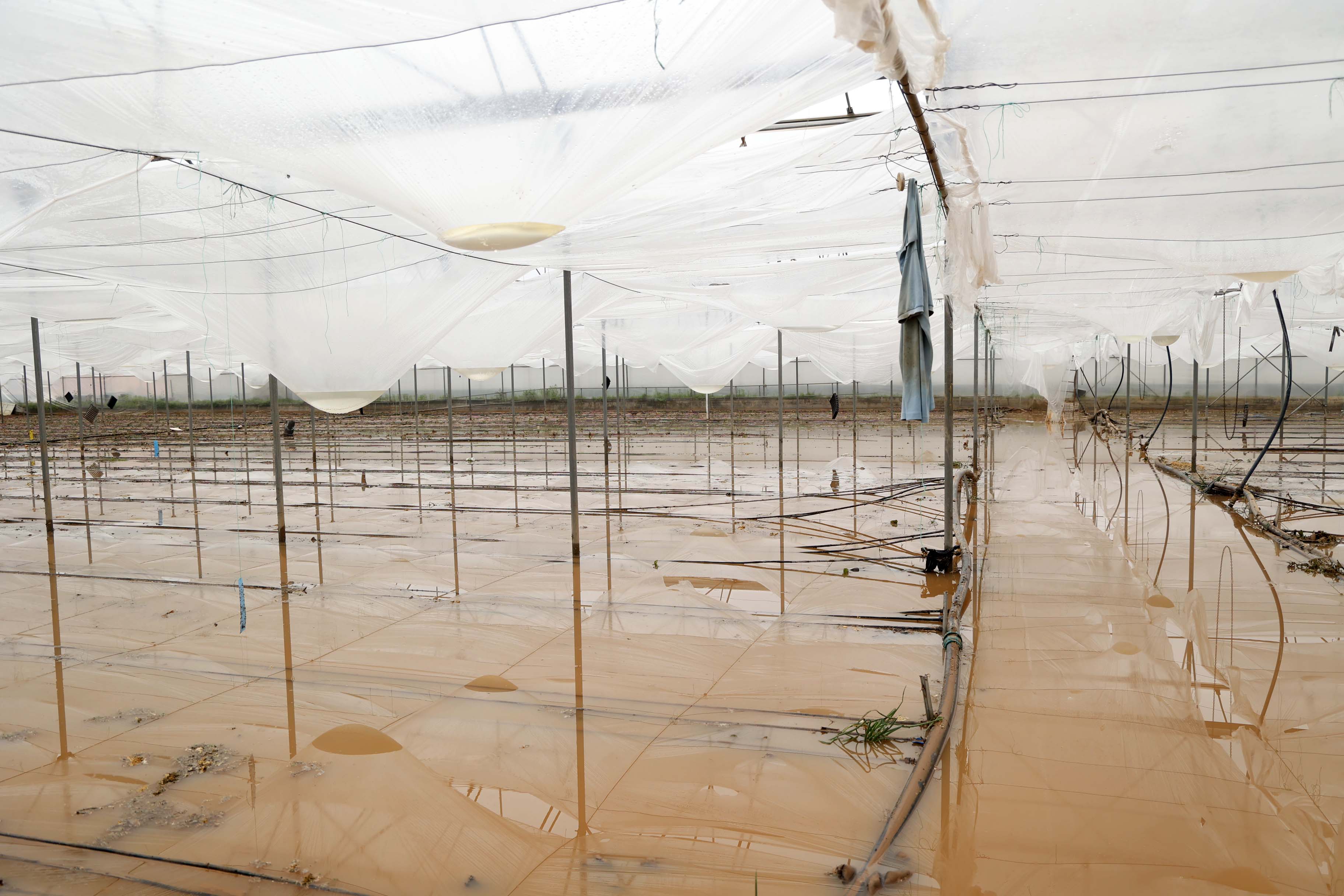 Aksu tarım arazileri sel