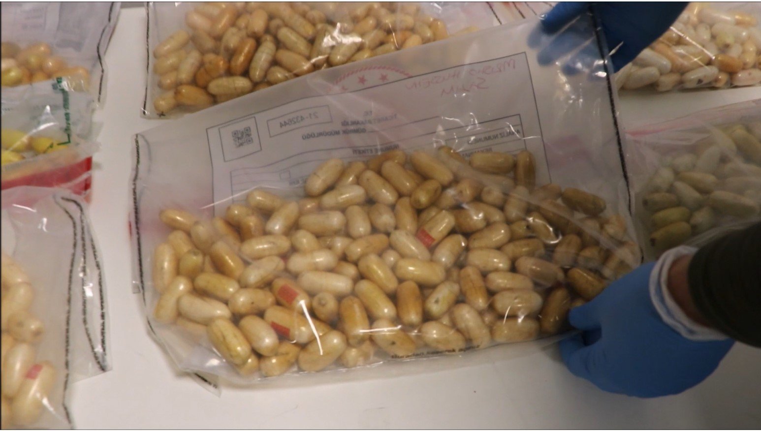 Kaçakçılıkla Mücadele Ekipmanları