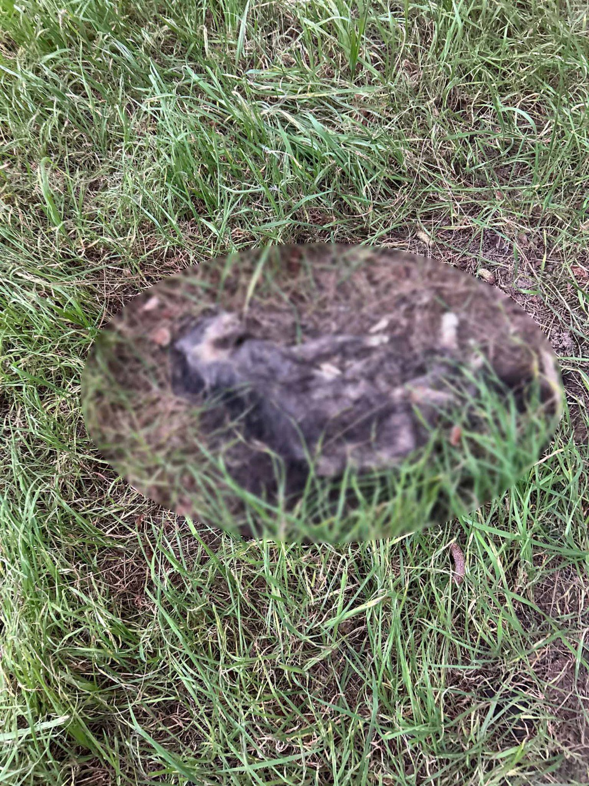 Bakırköy Botanik Parkı güvenlik sorunu