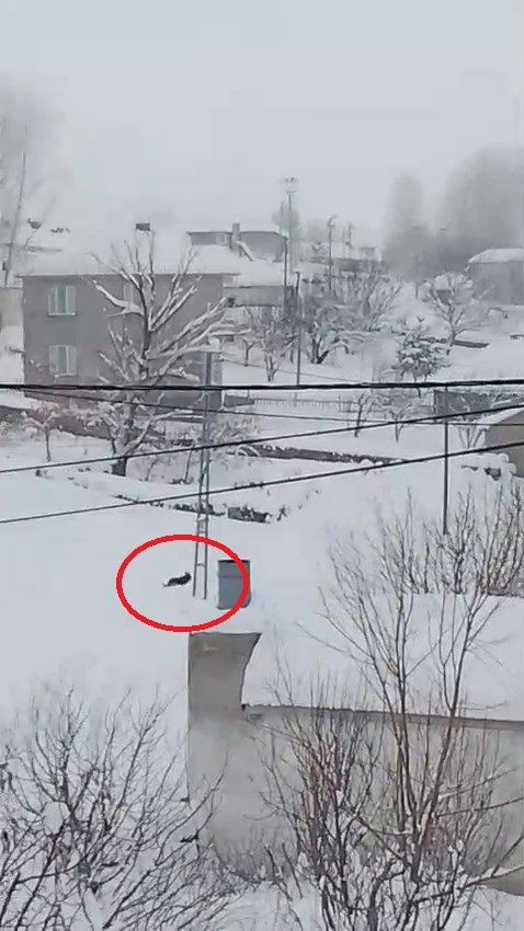 Bingöl İl Özel İdaresi kar mücadelesi