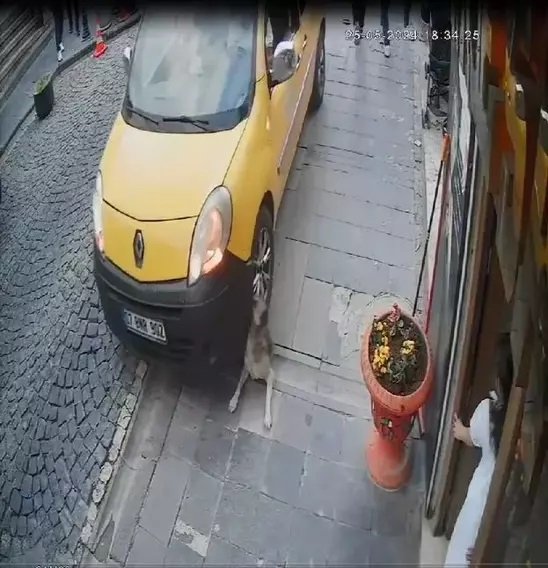 Melek Akarmut mahkeme