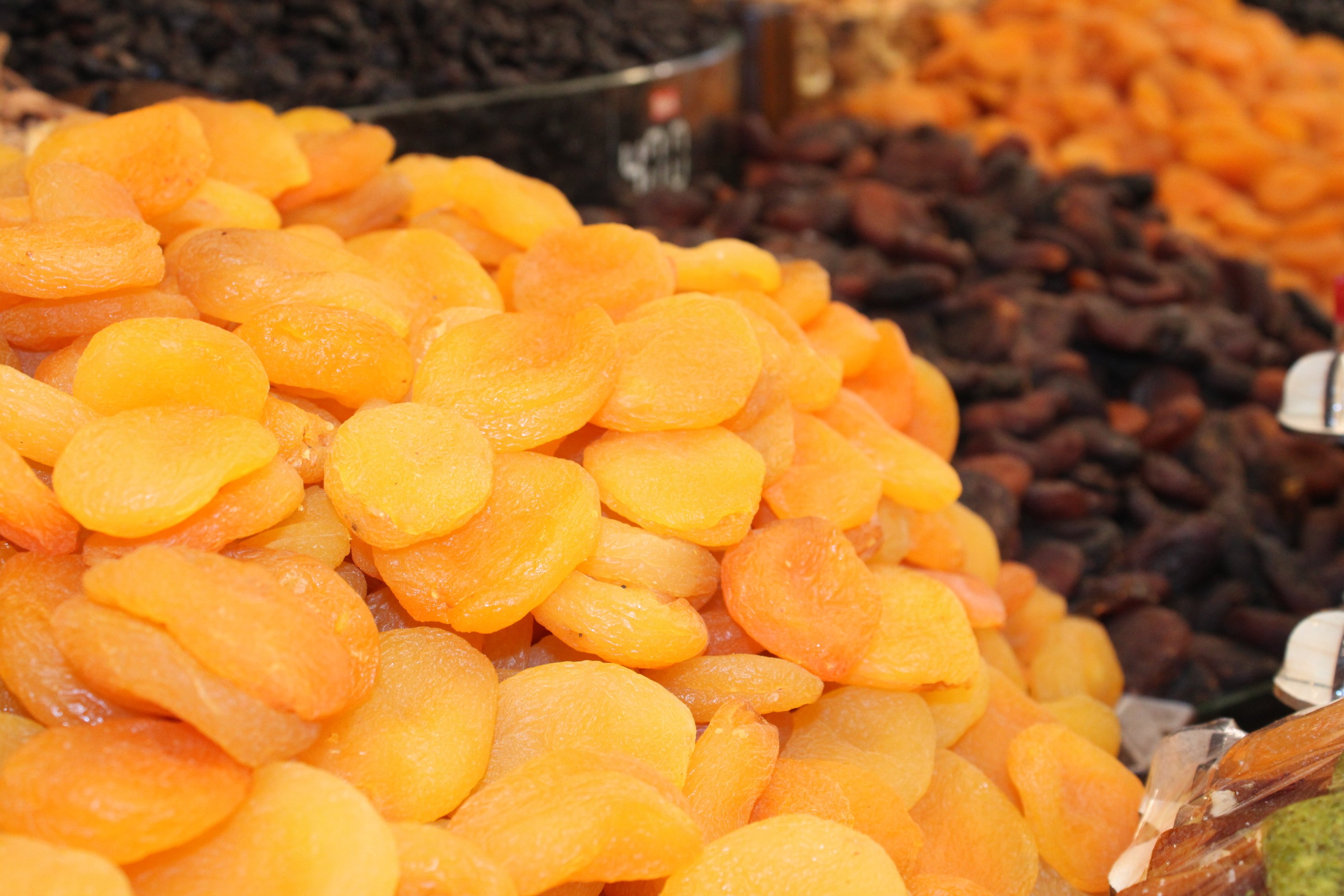 Malatya tarım ihracatı kuru meyve