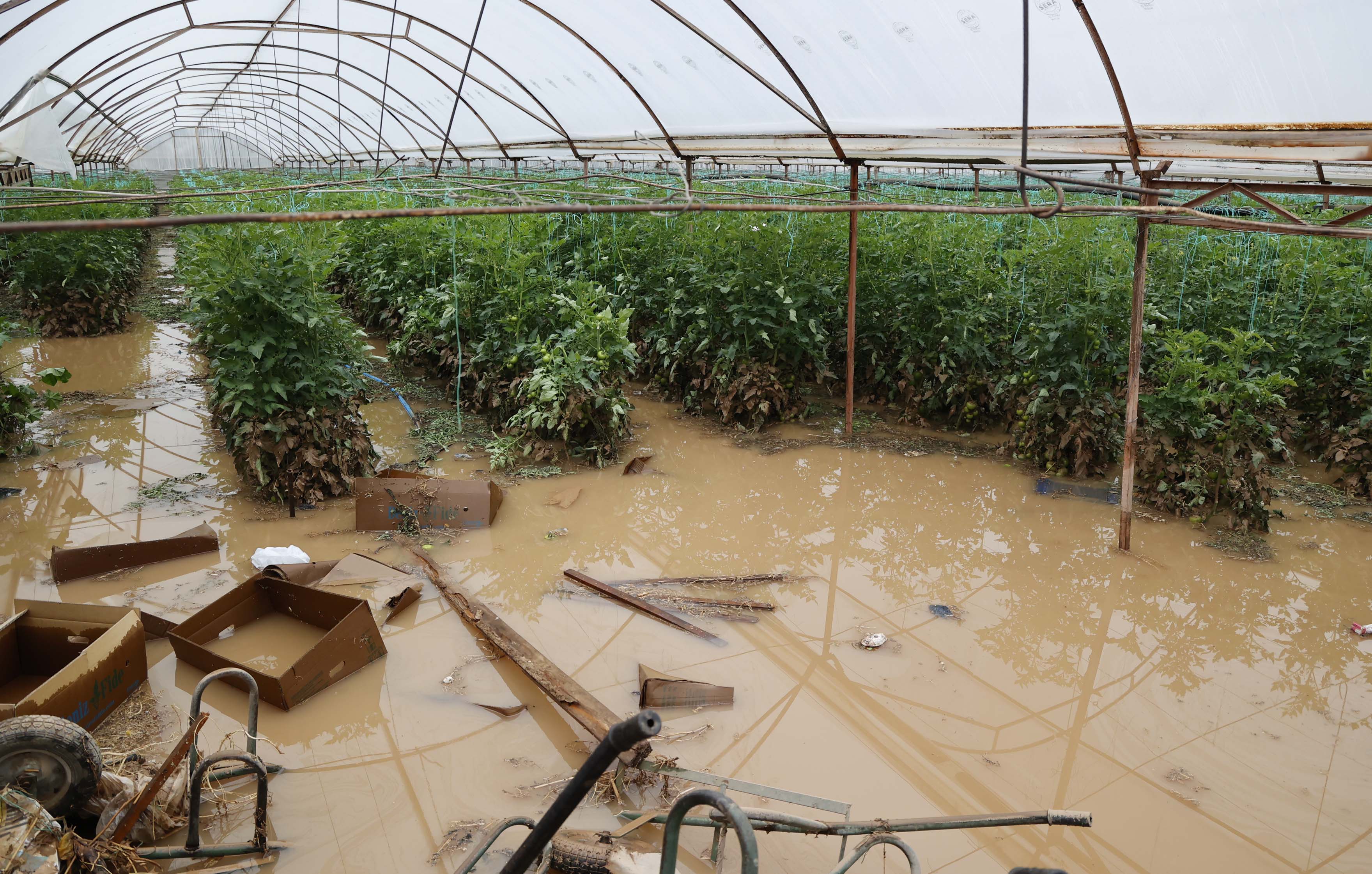 Antalya sel tarım arazileri su altında