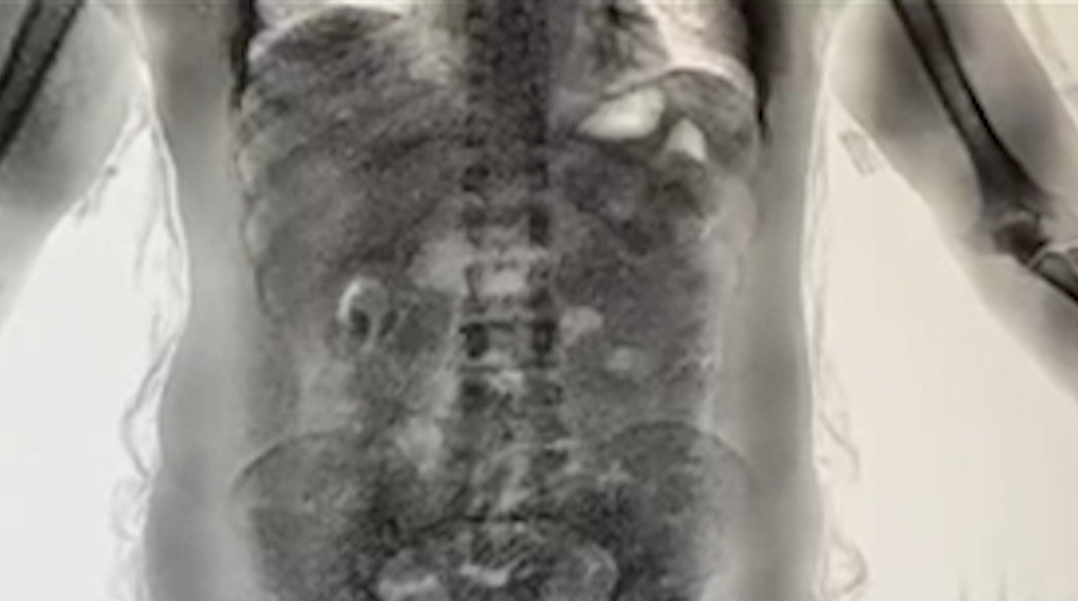 Gümrük Muhafaza Ekipleri Çalışma Anı