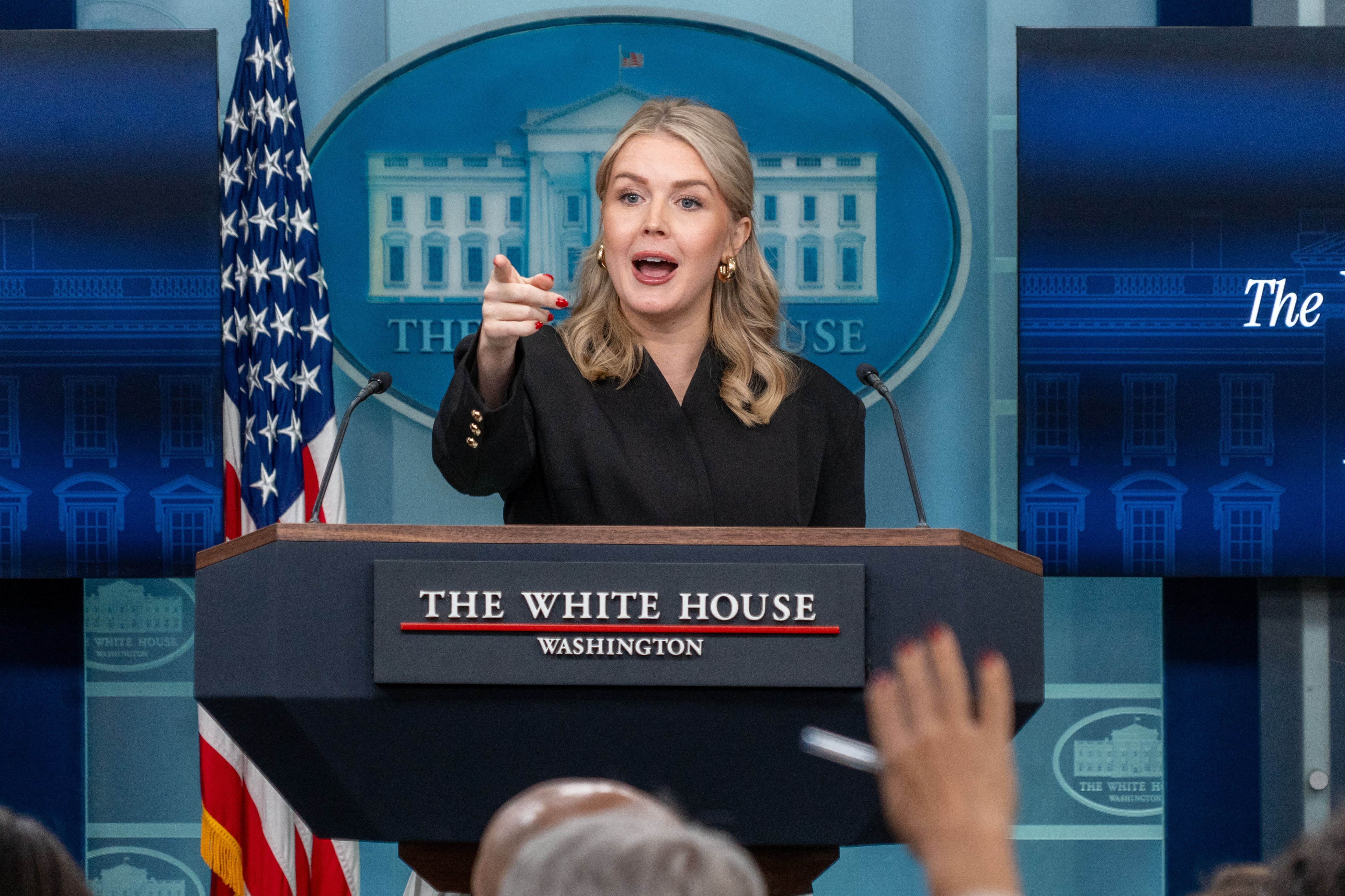 Beyaz Saray Sözcüsü Karoline Leavitt Grönland açıklaması