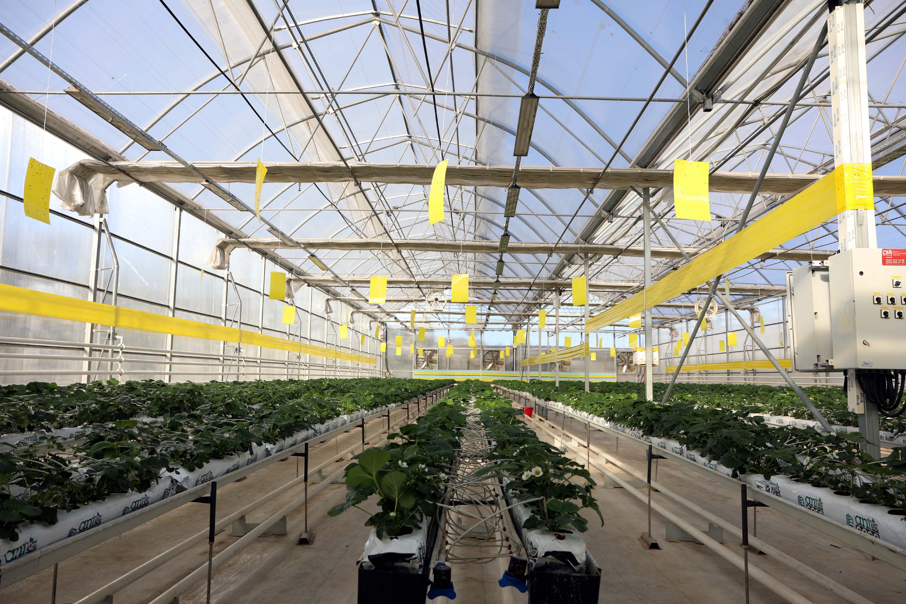 Şerif Yakut tesis hakkında bilgi veriyor