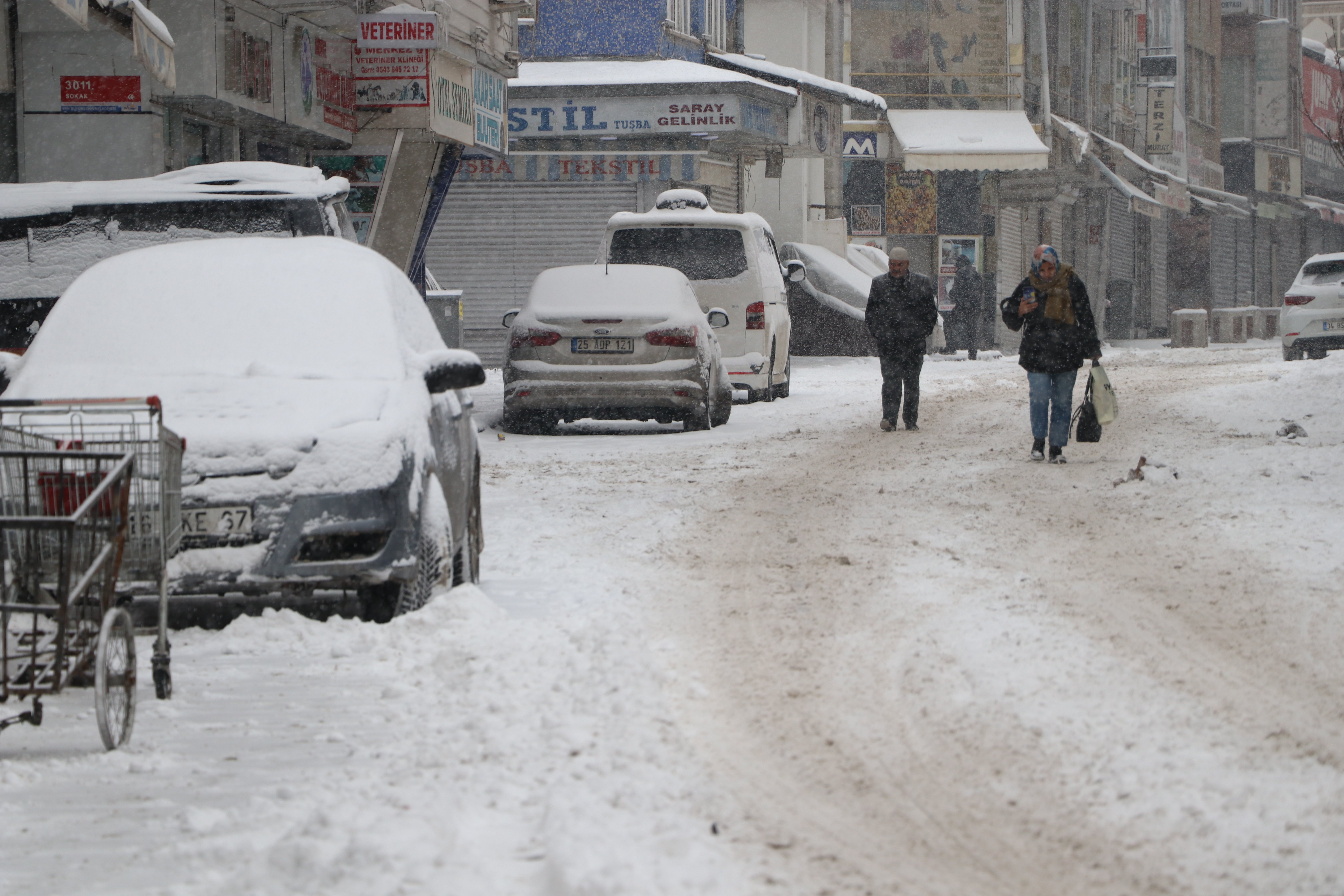 Van belediyesi kar mücadelesi
