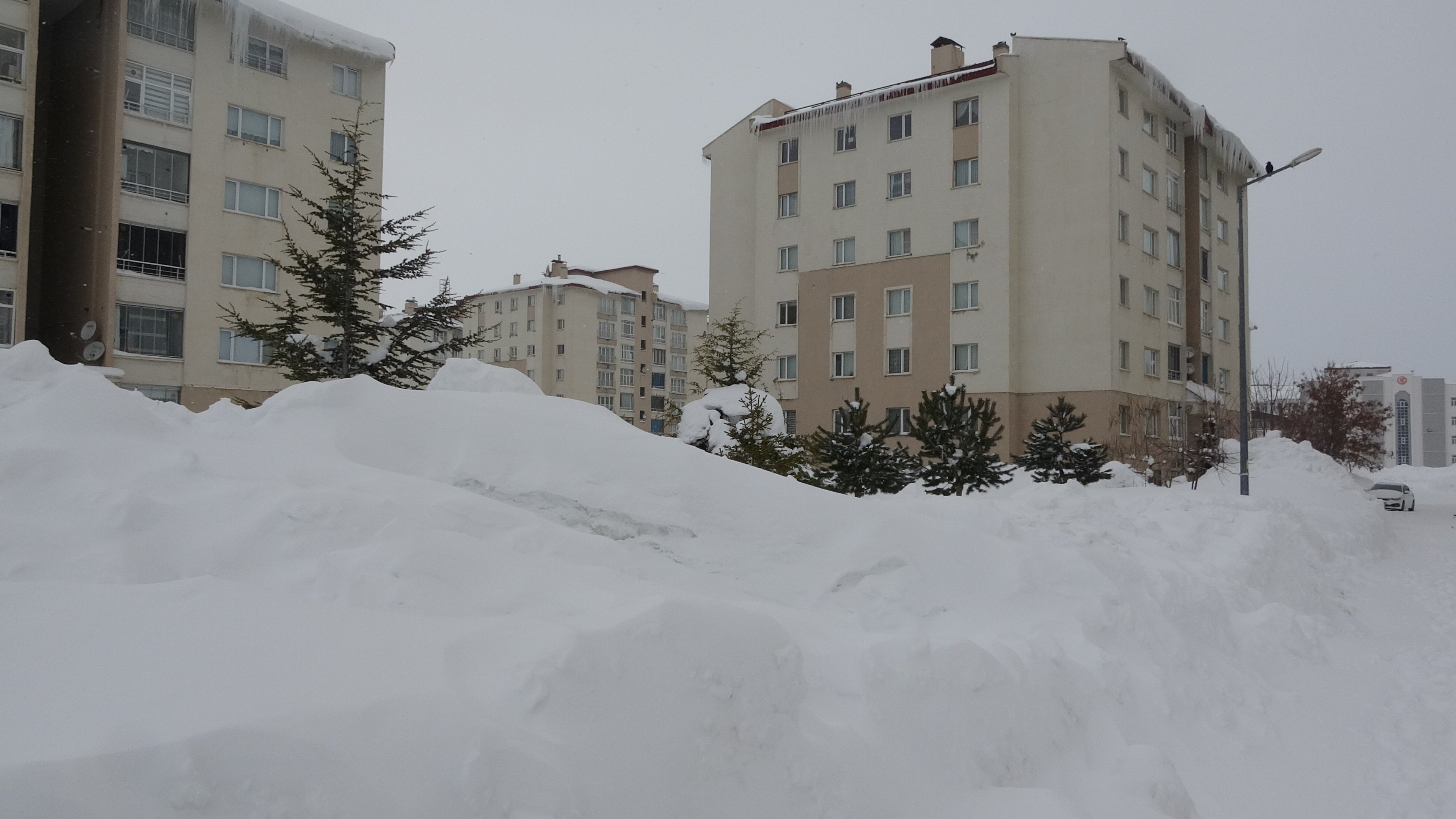 AFAD ekipleri Bitlis kar çalışması