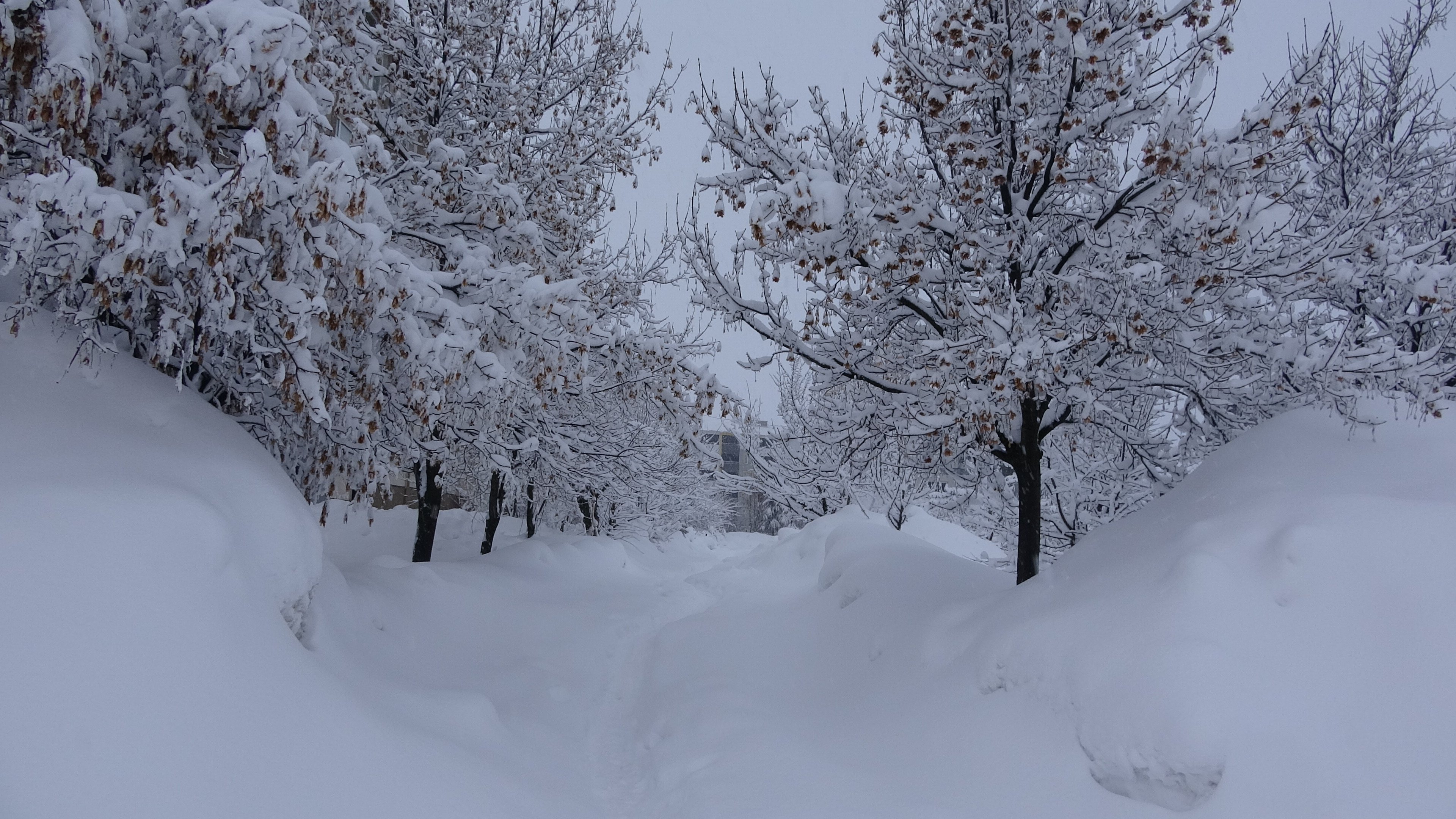 Bitlis kar çalışması personel