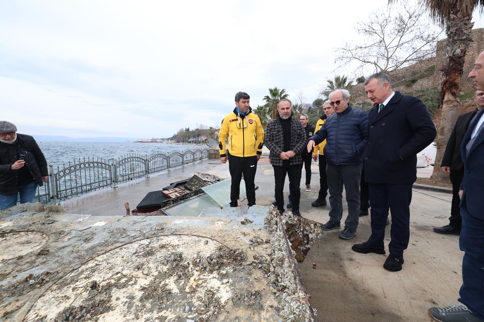 Yapay resifler ve deniz canlıları
