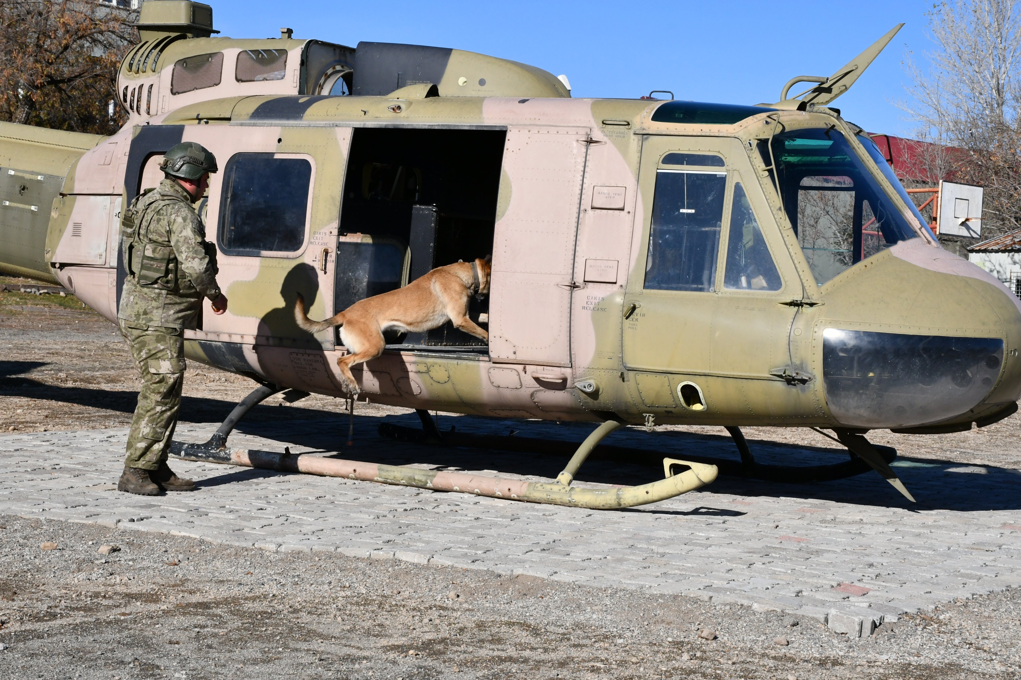 MSB Komando Köpekli Tim Eğitimi