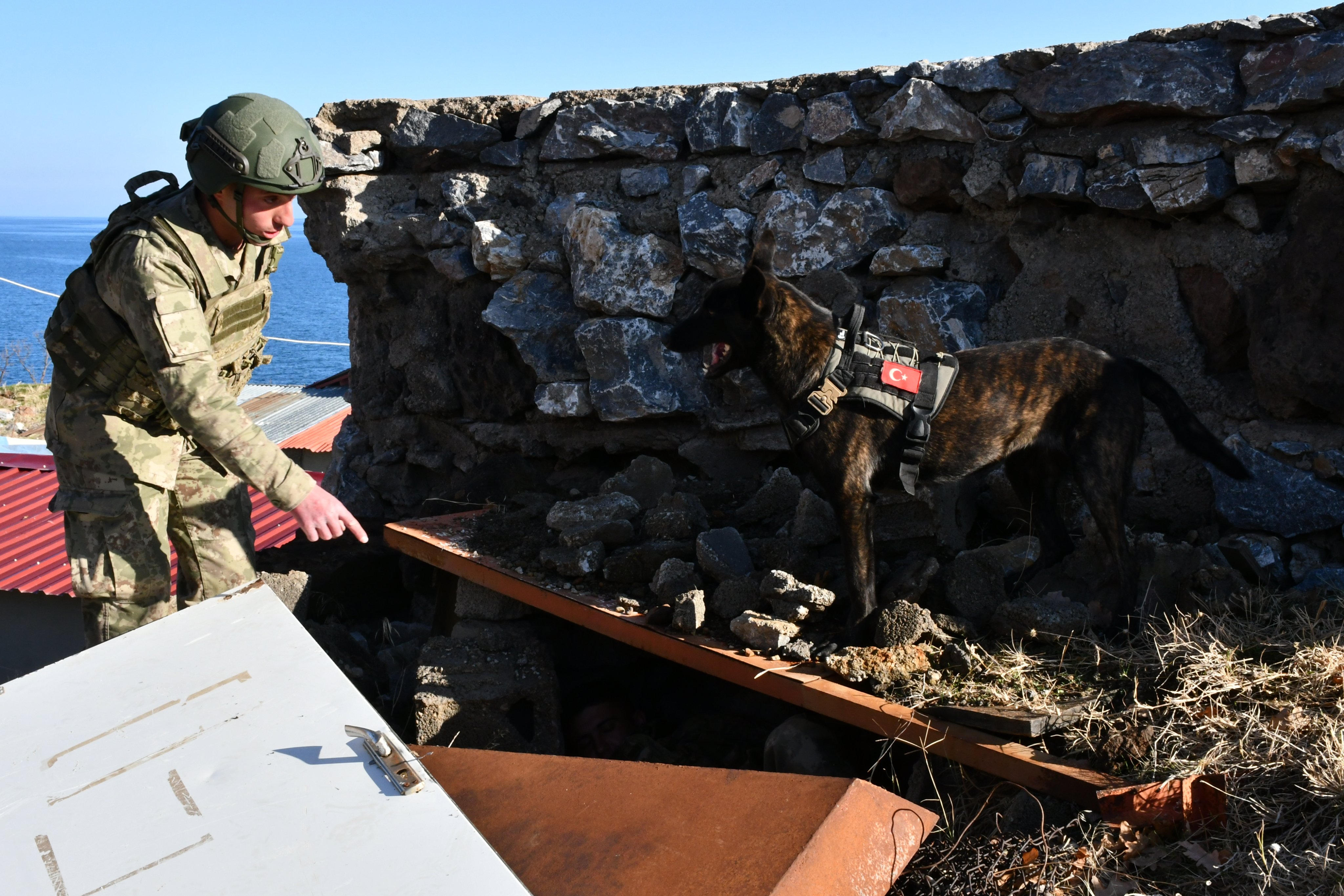 Askeri Köpekli Tim Eğitim Faaliyeti