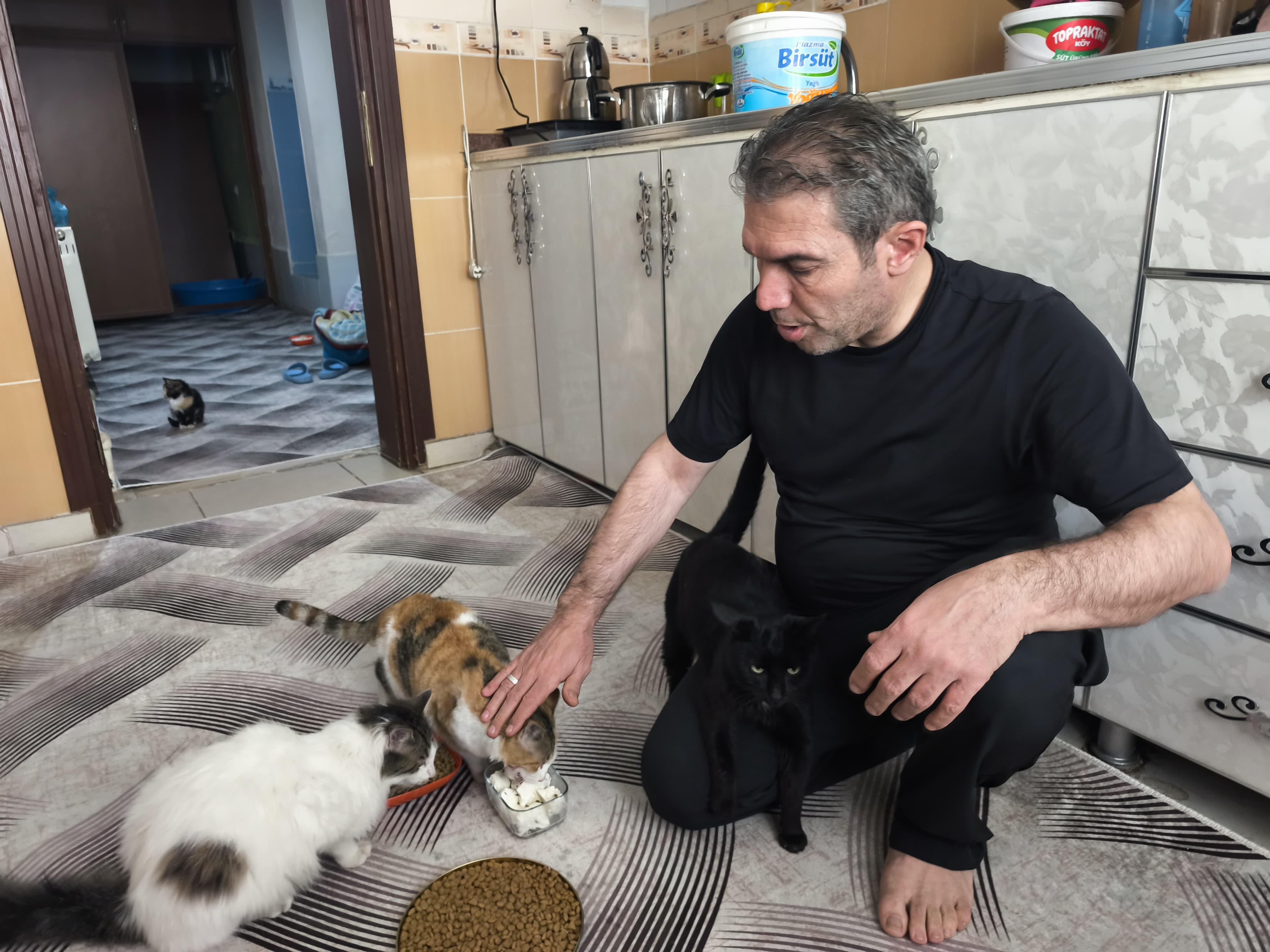 Sason Belediye Başkanı İrfan Demir kedilerle