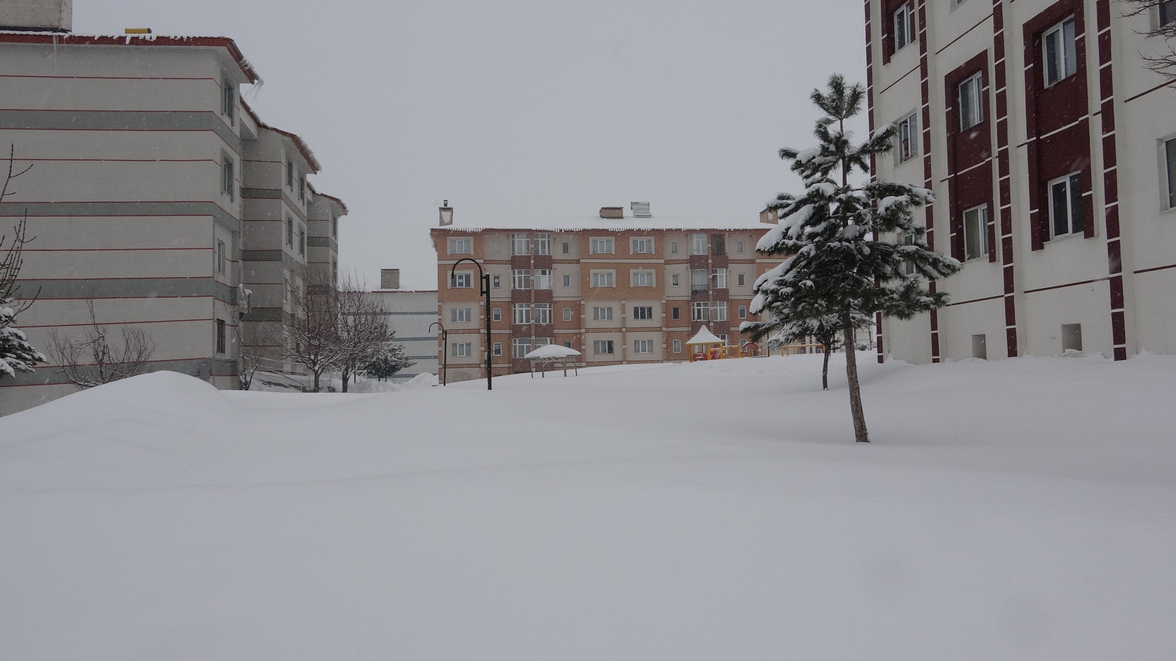 Bitlis kar altında araç