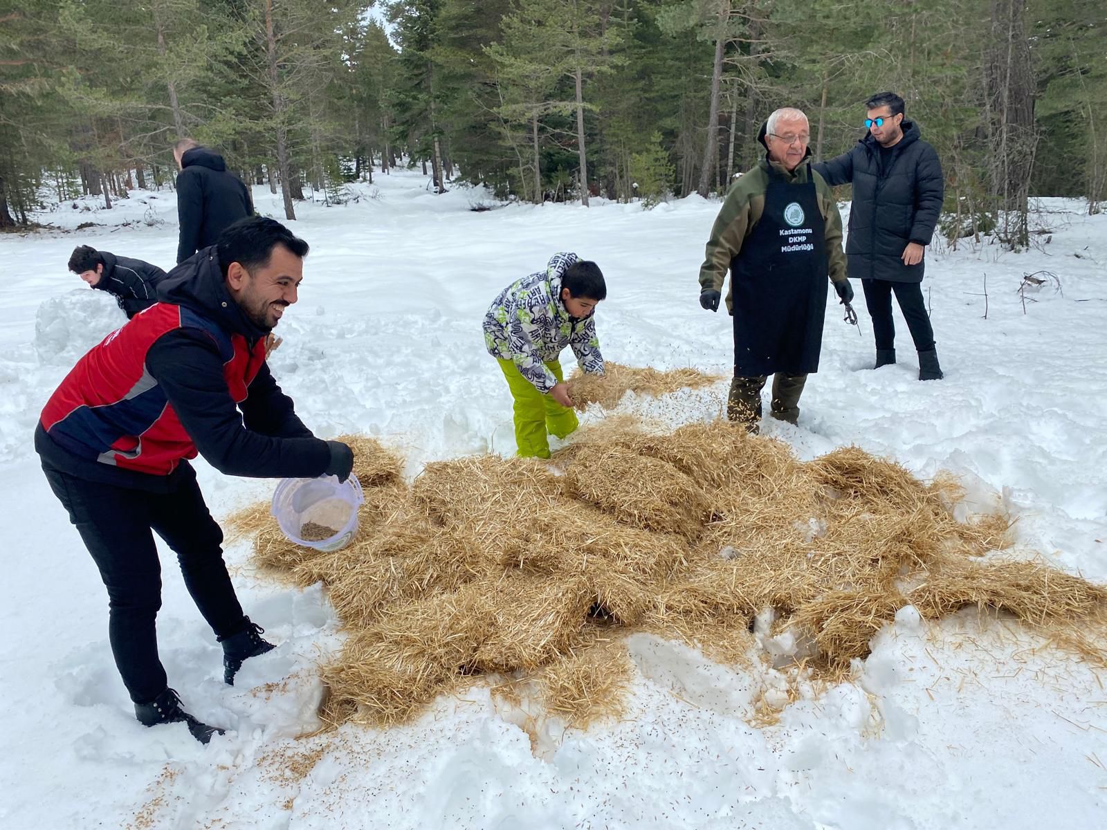 Vakıflar Genel Müdürlüğü Ilgaz Dağı yemleme çalışması