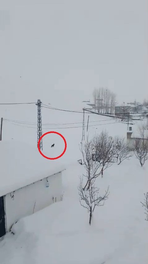 Bingöl kar yağışı ulaşım kapalı yol