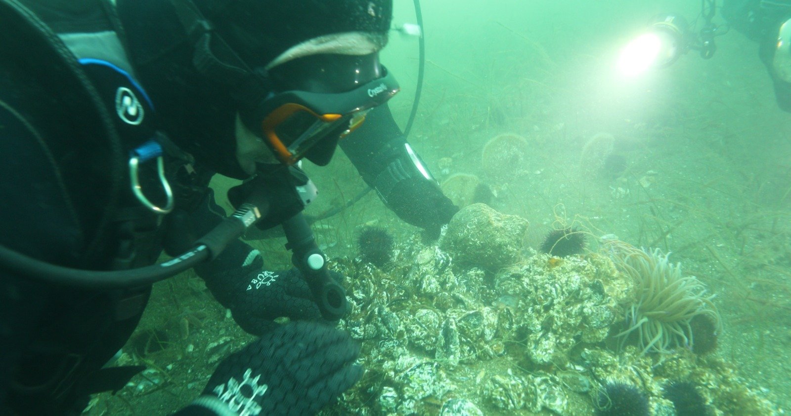 Akademisyenler ve dalgıçlarla dalış ekibi