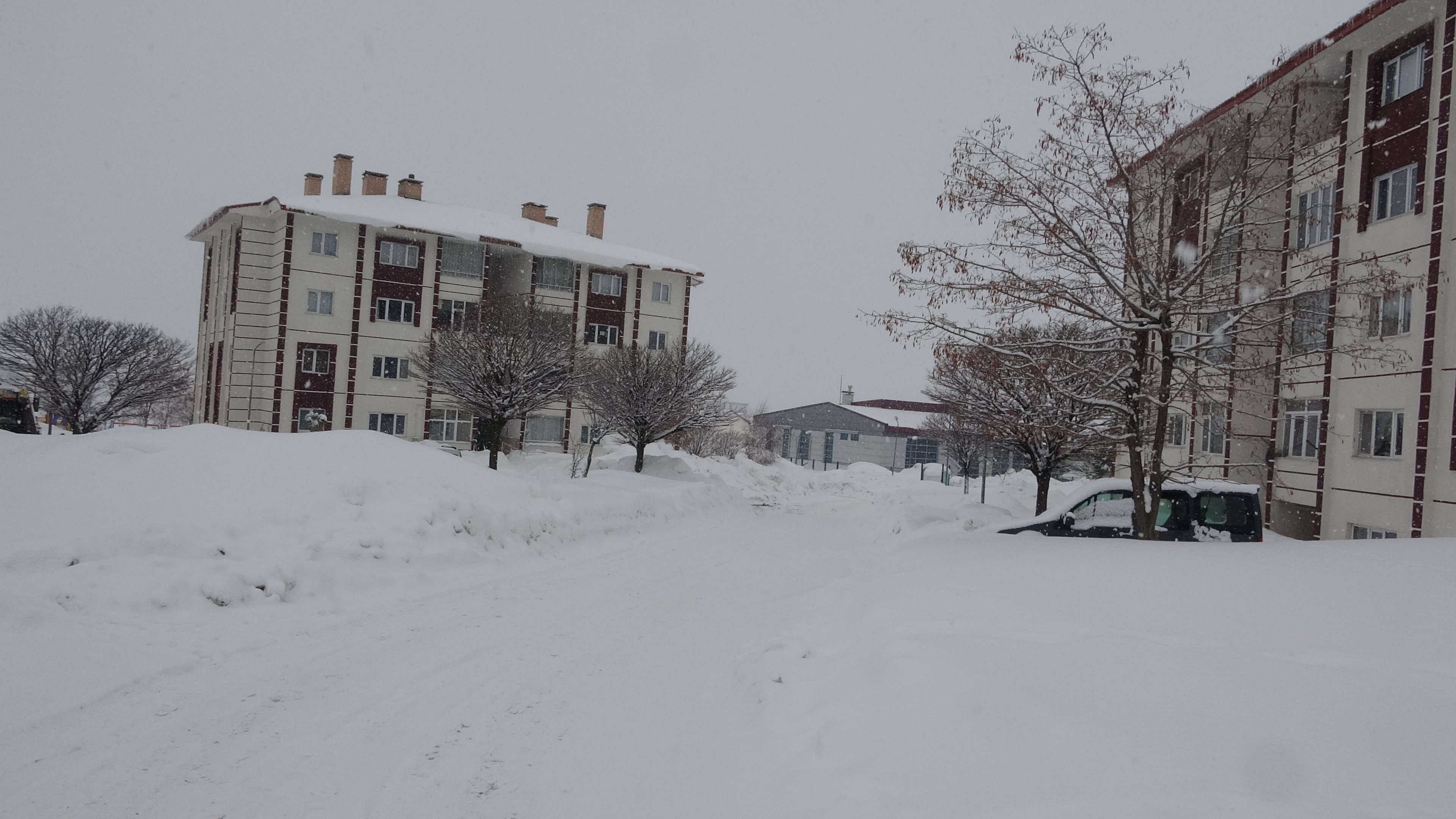 Bitlis kar yağışı manzara