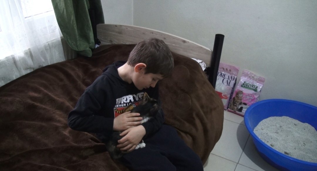 İrfan Demir kedi sevgisi