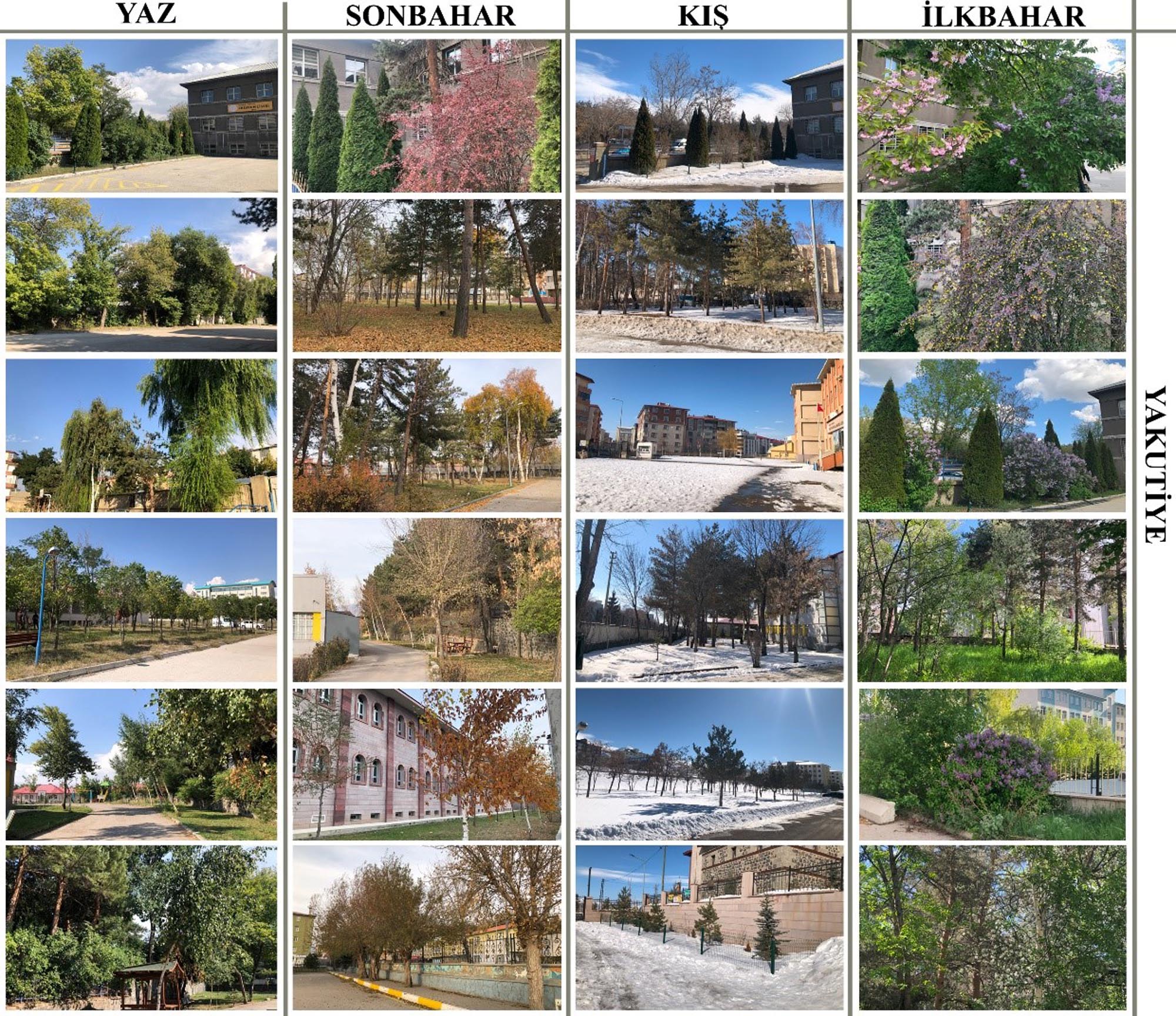 Biyodost Okul Bahçesi İncelemesi