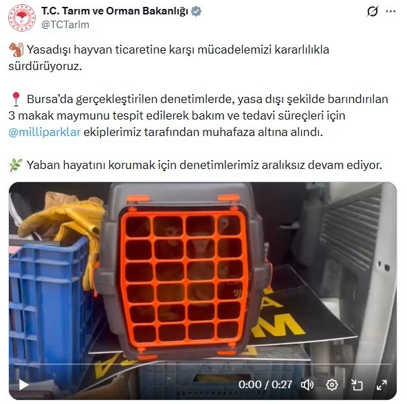 Makak maymunu koruma altına alındı Tarım ve Orman Bakanlığı