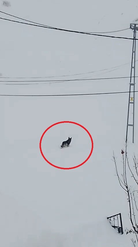 Bingöl Valiliği kar yağışı ulaşım