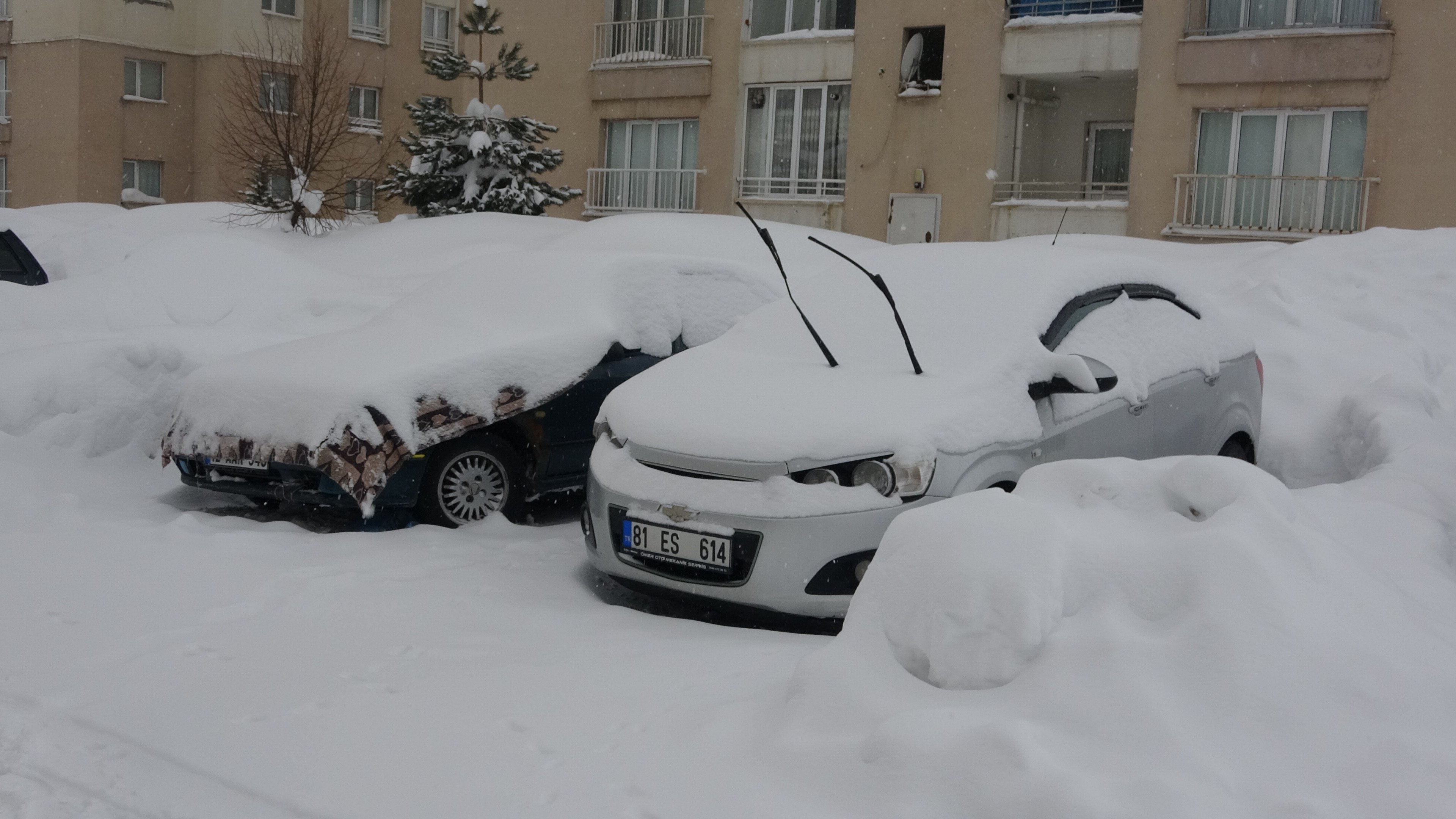 Bitlis Valiliği açıklama