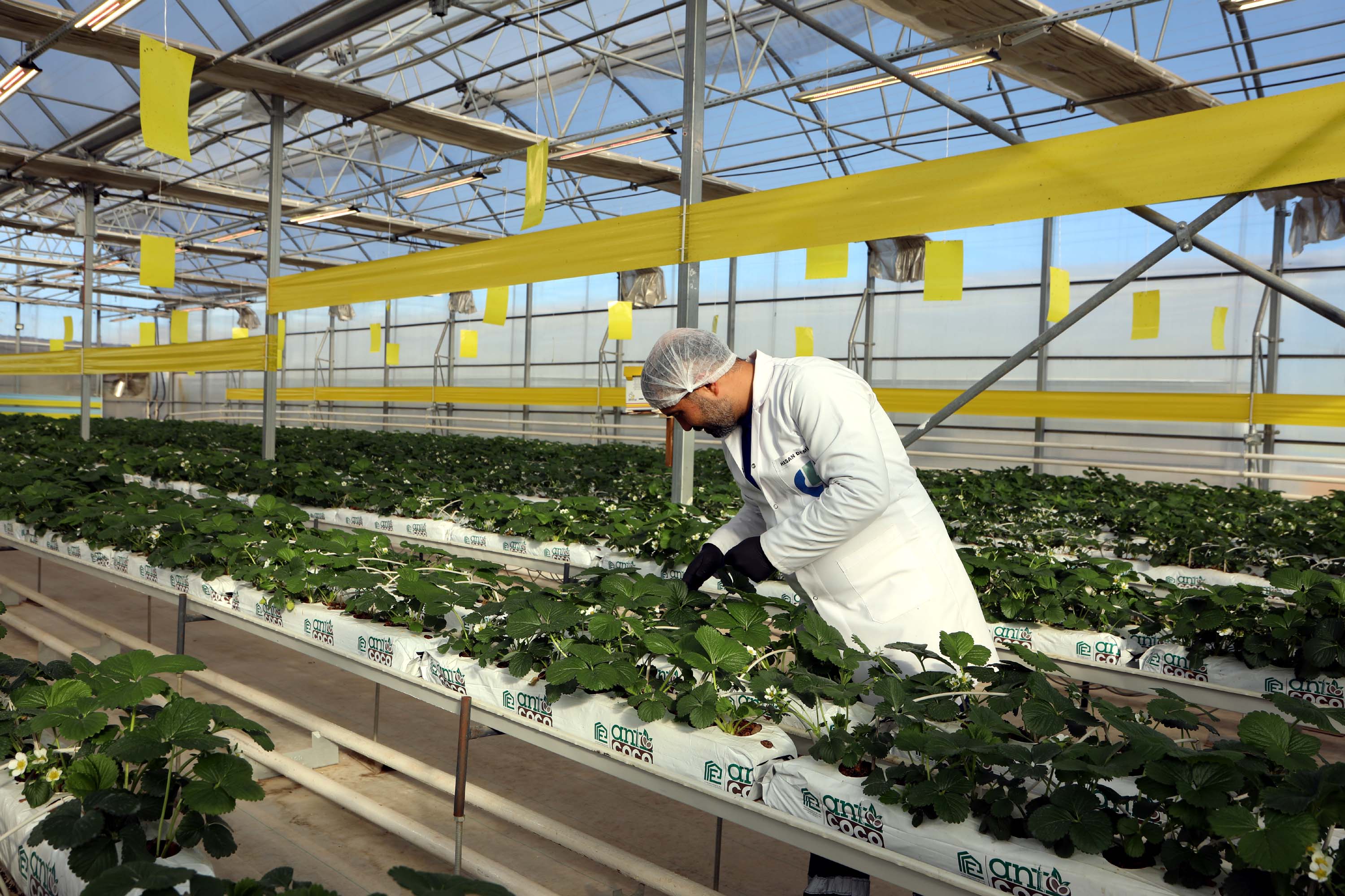 Çöpten enerji üretim tesisi