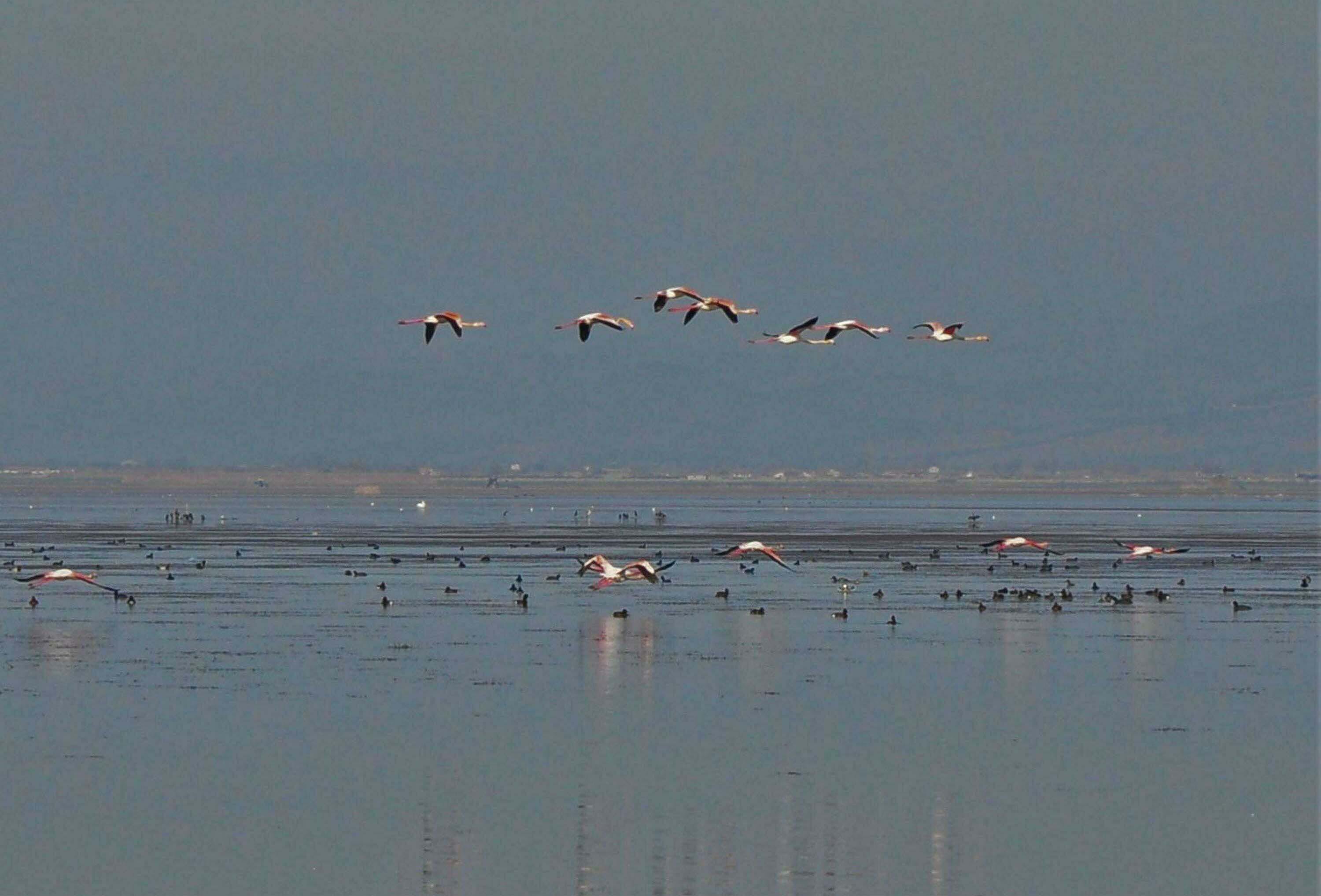 Marmara Gölü kurumuş hali