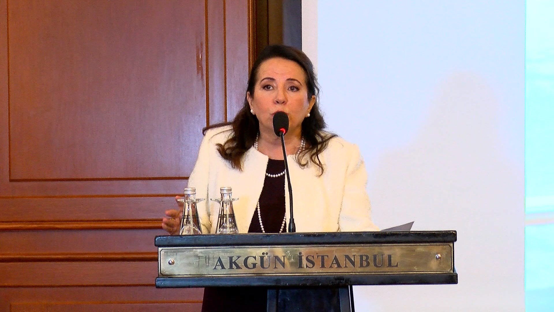 Rabia Babaoğlu veda gecesi katılımcıları