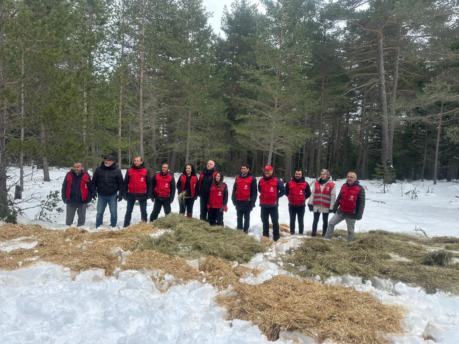 Doğa Koruma ve Milli Parklar Genel Müdürlüğü yemleme çalışması