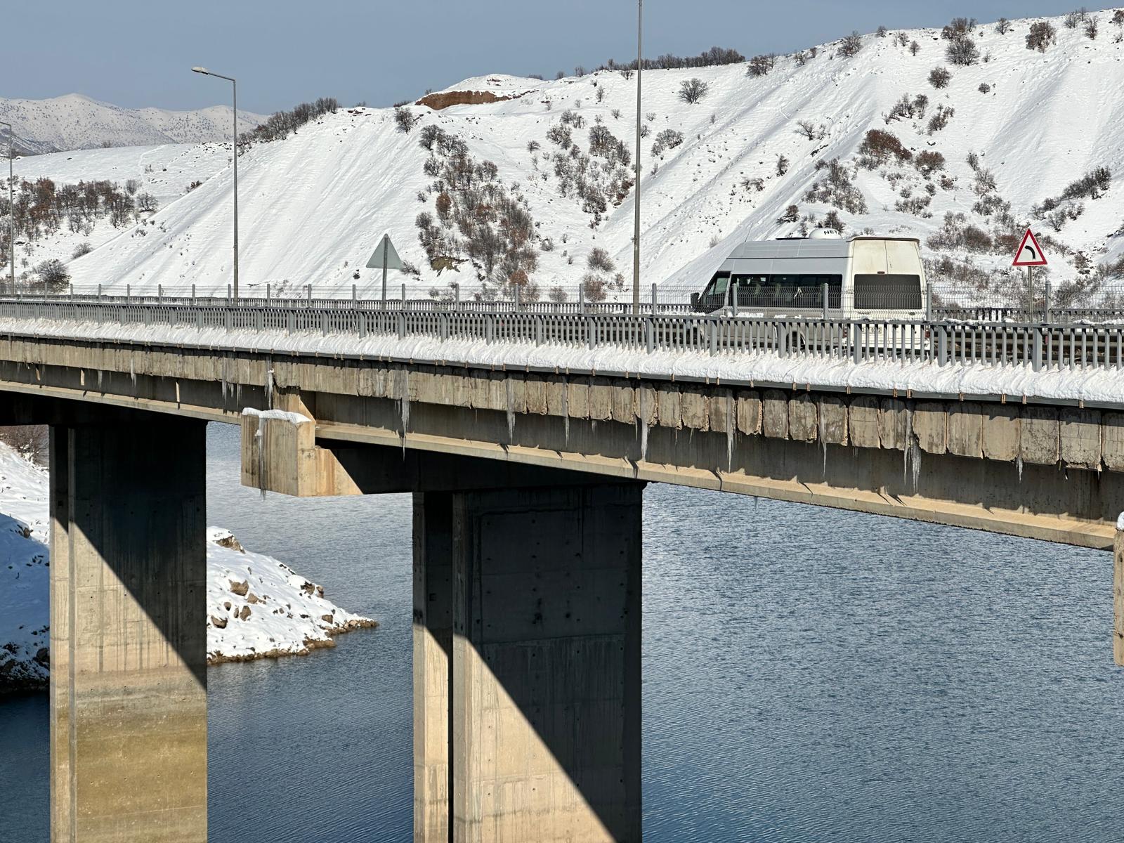 Gülistan Doku kayıp afişi