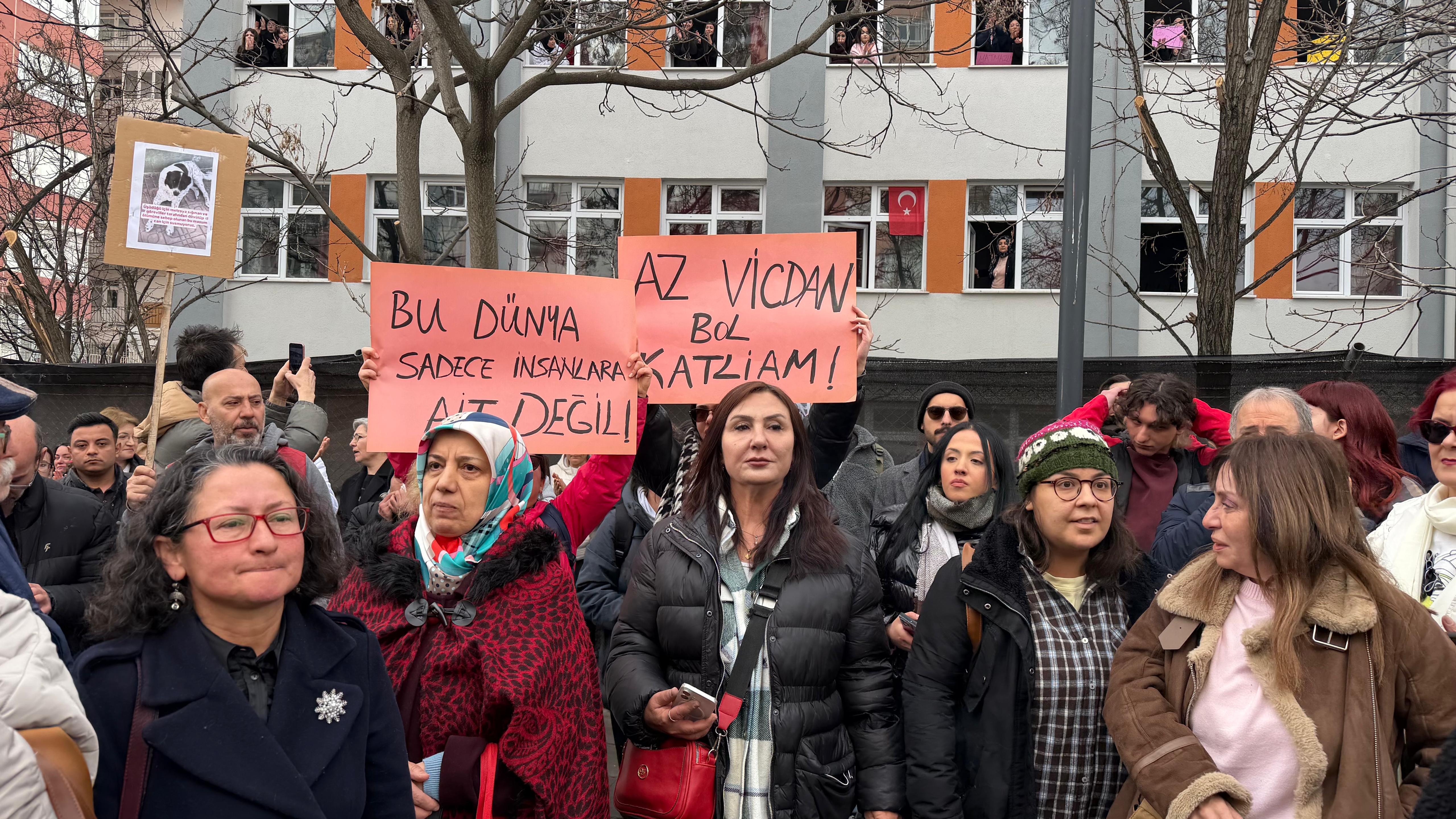 Matmazel köpeği için basın açıklaması